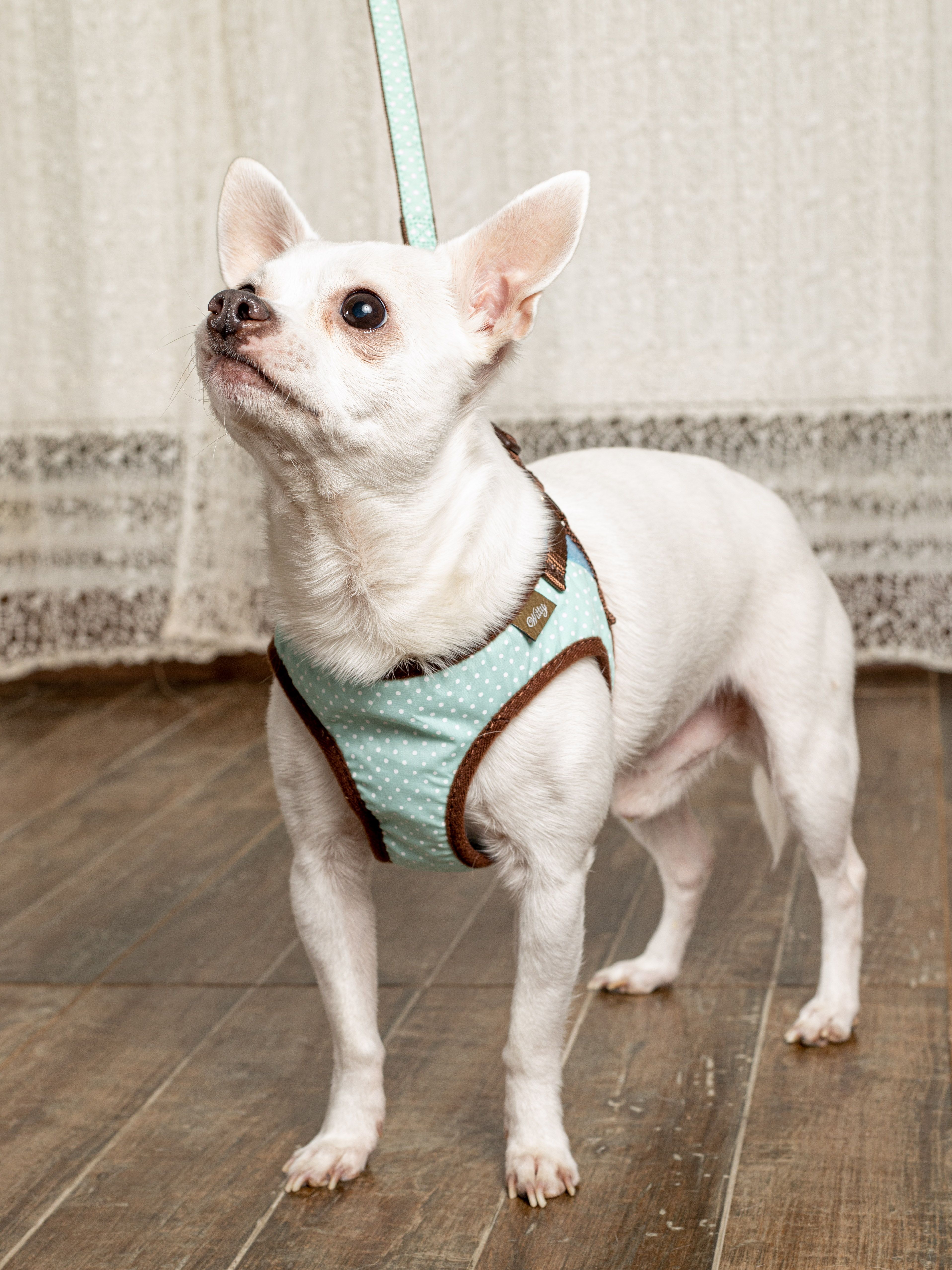 Produkt DAH0666358 Bild 7