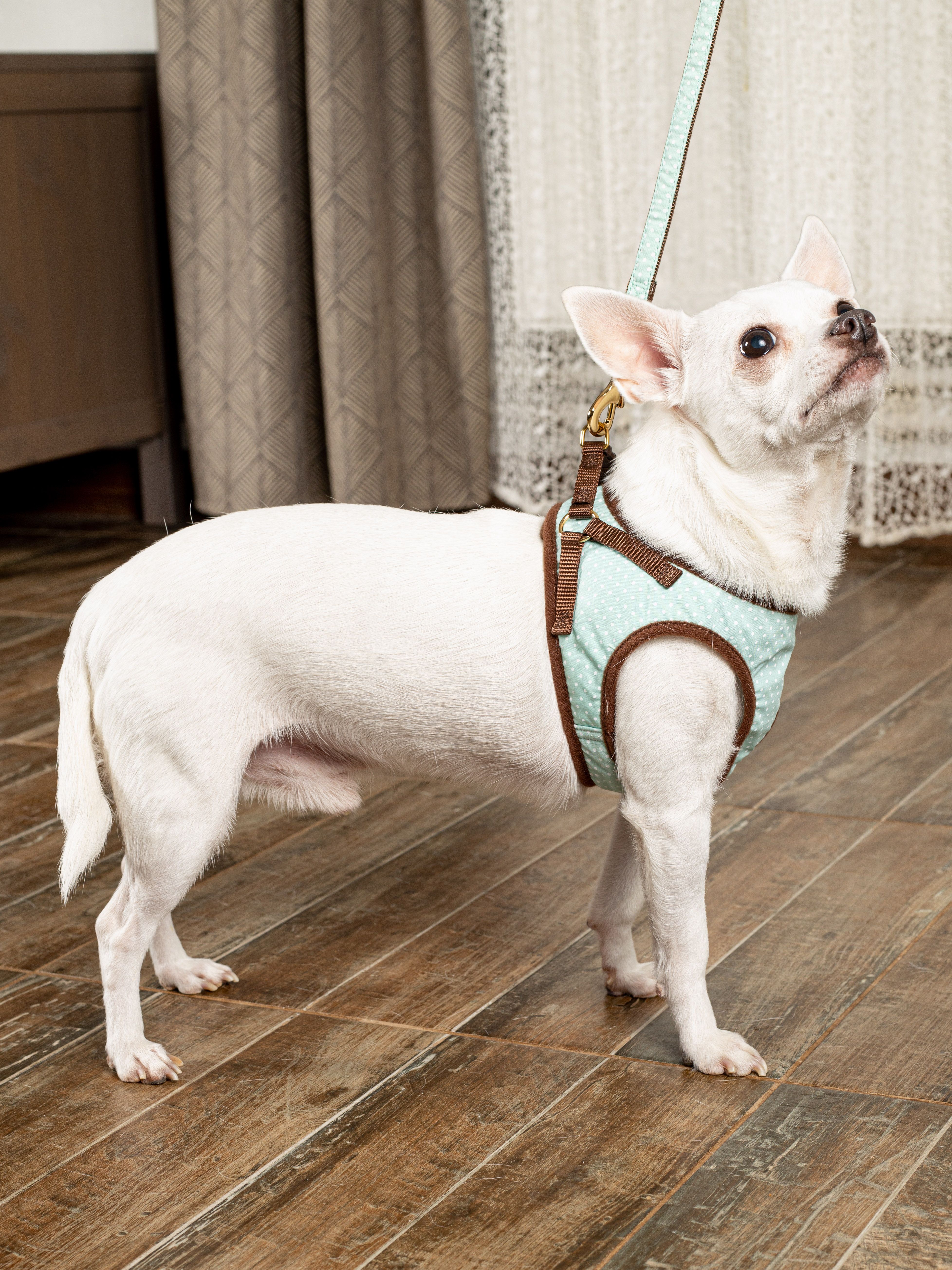 Produkt DAH0666358 Bild 8