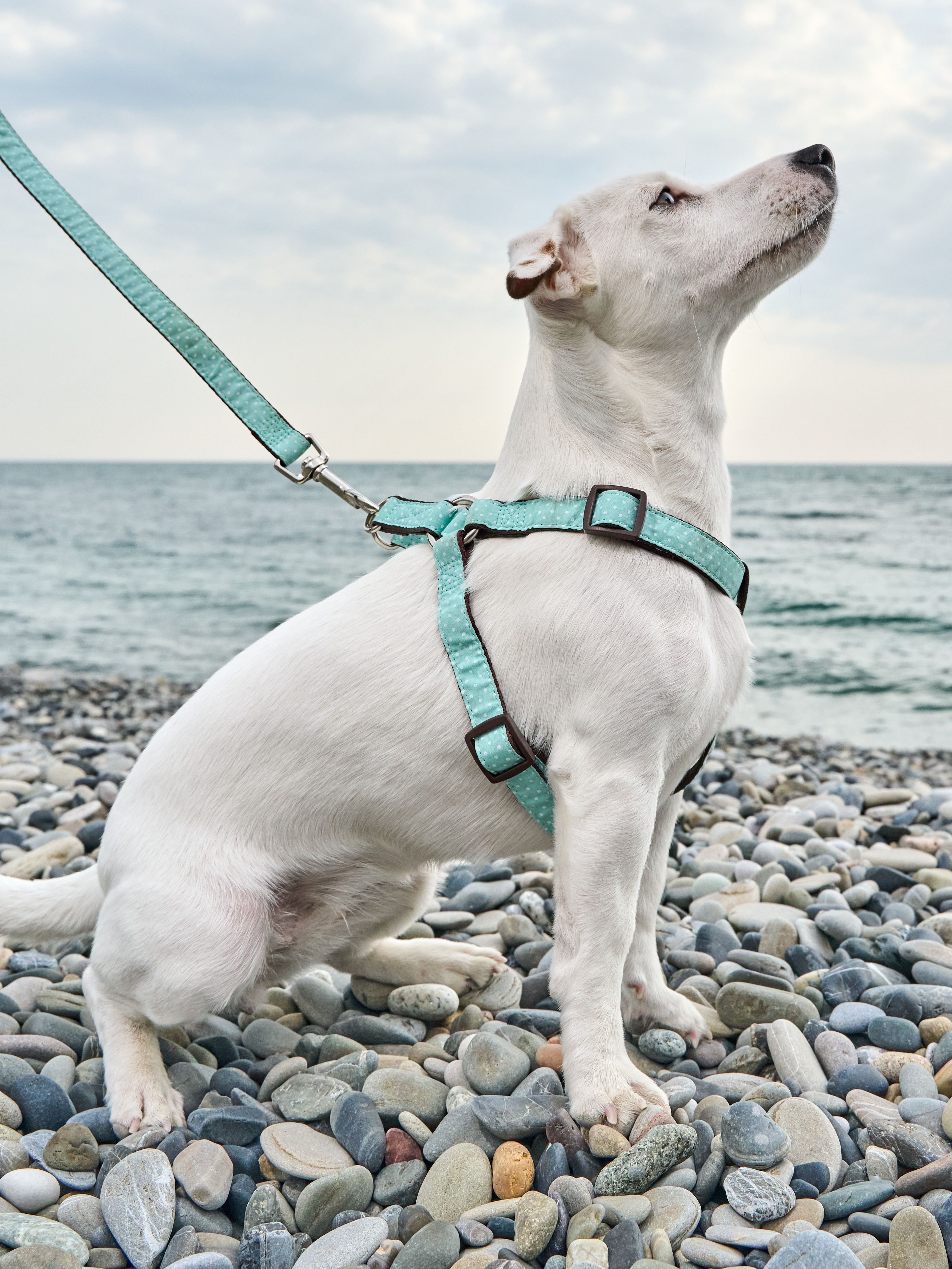 Produkt DAH0668192 Bild 4