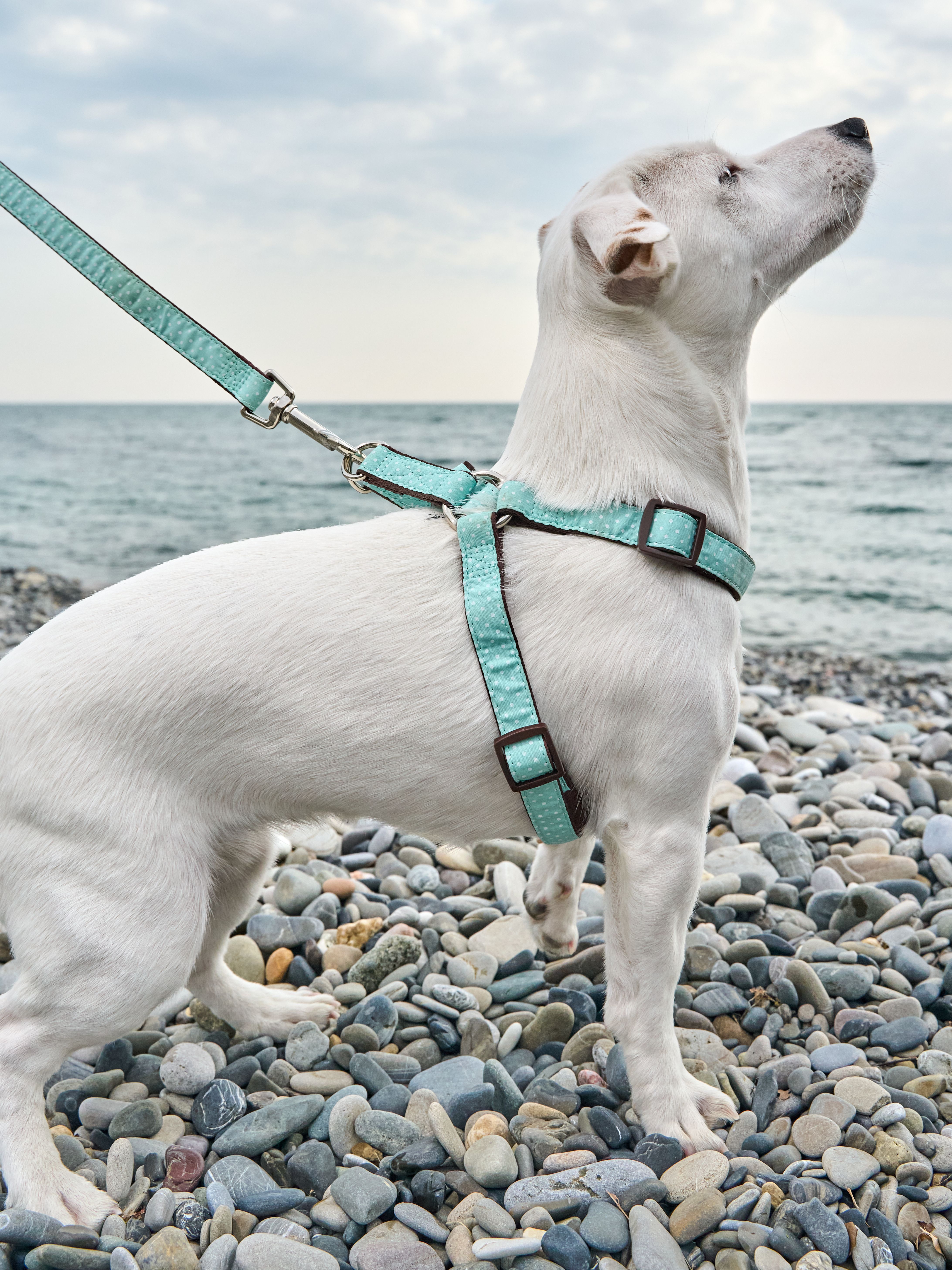 Produkt DAH0668192 Bild 6