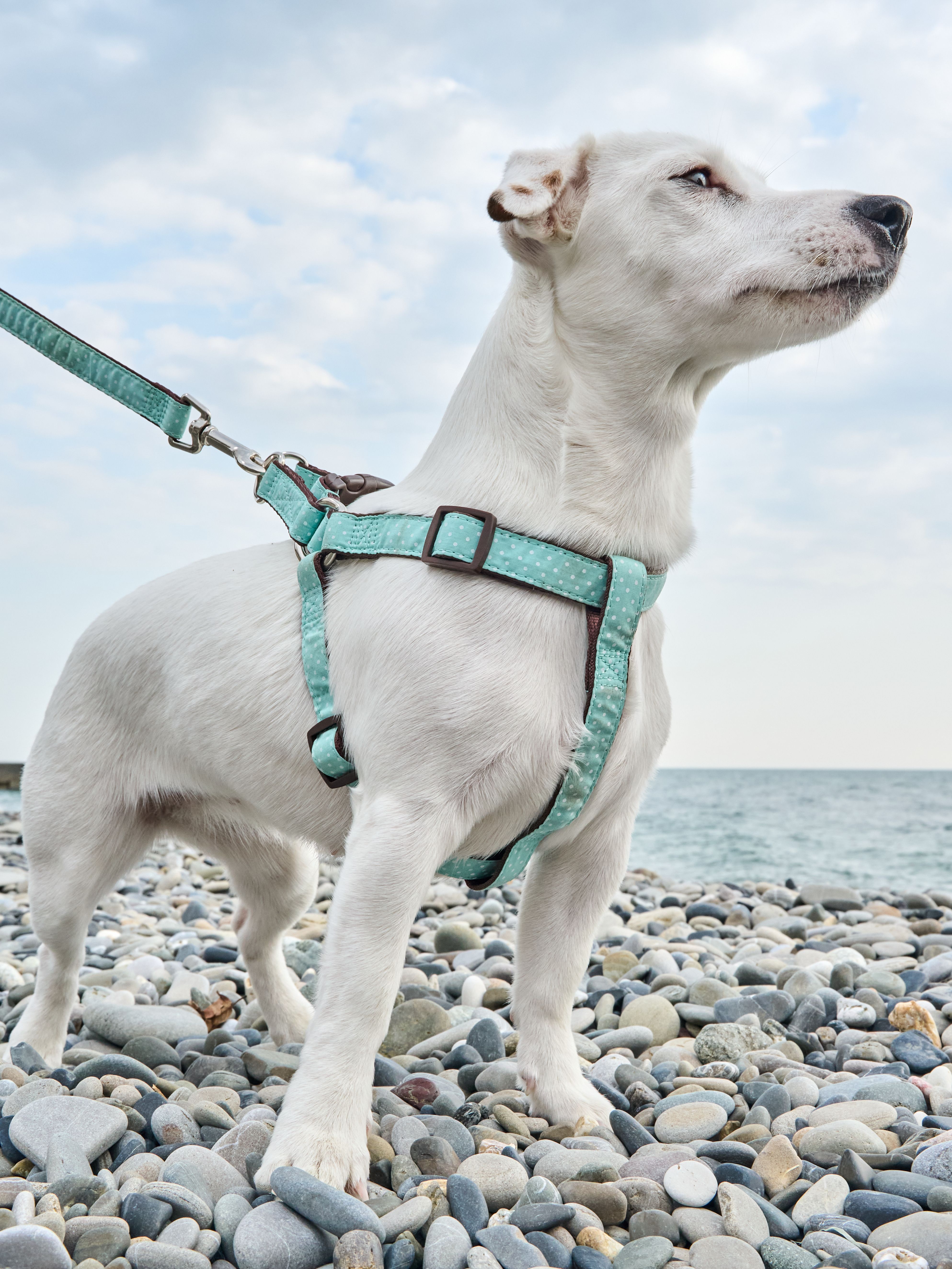 Produkt DAH0668192 Bild 8