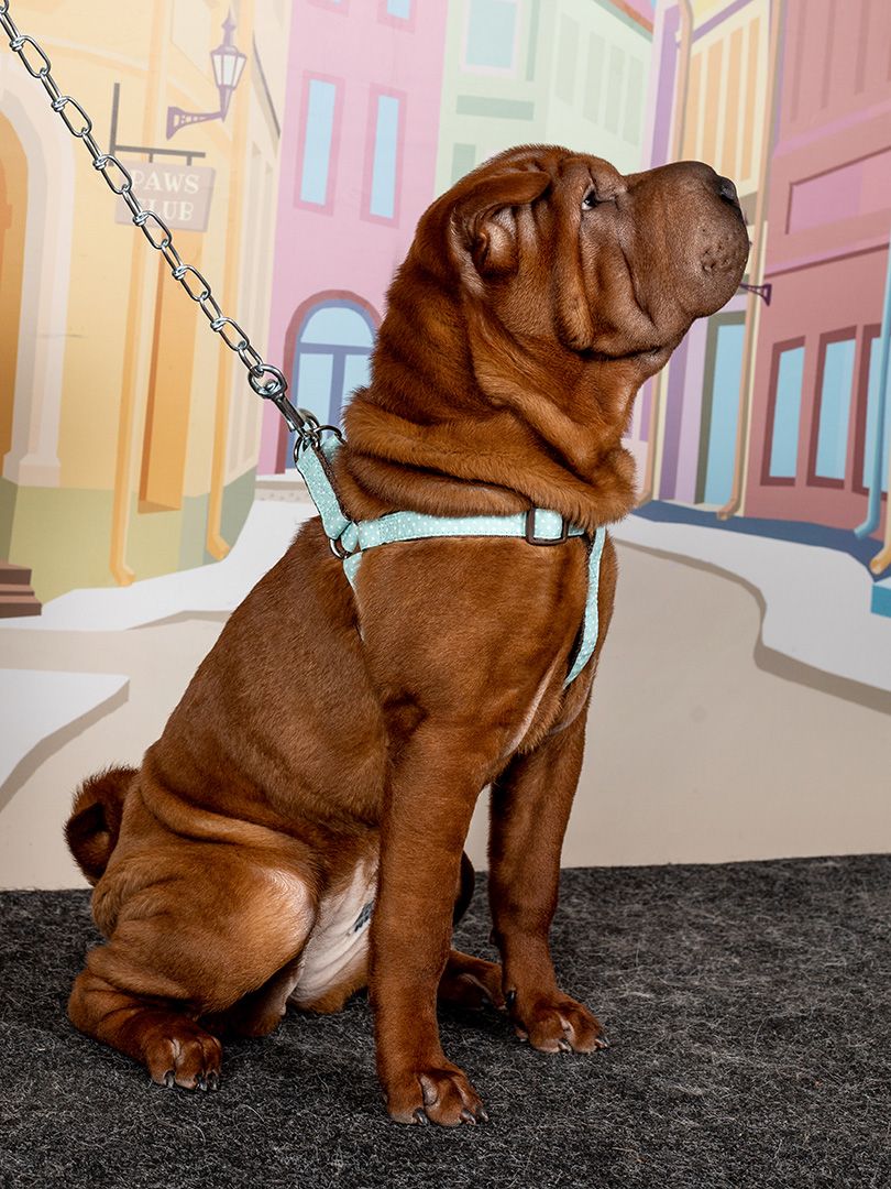 Produkt DAH0668192 Bild 9