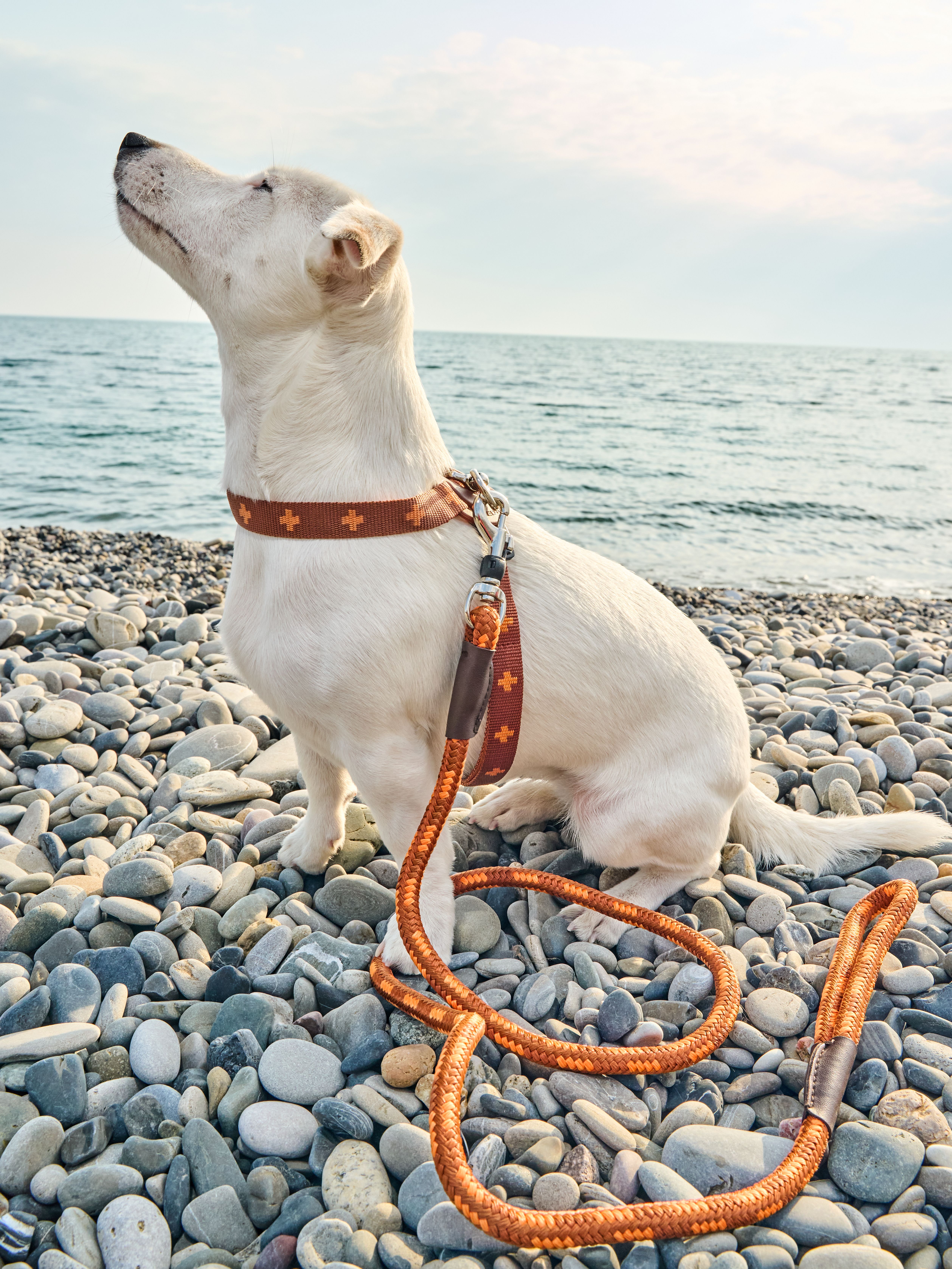 Produkt DAH0671765 Bild 9