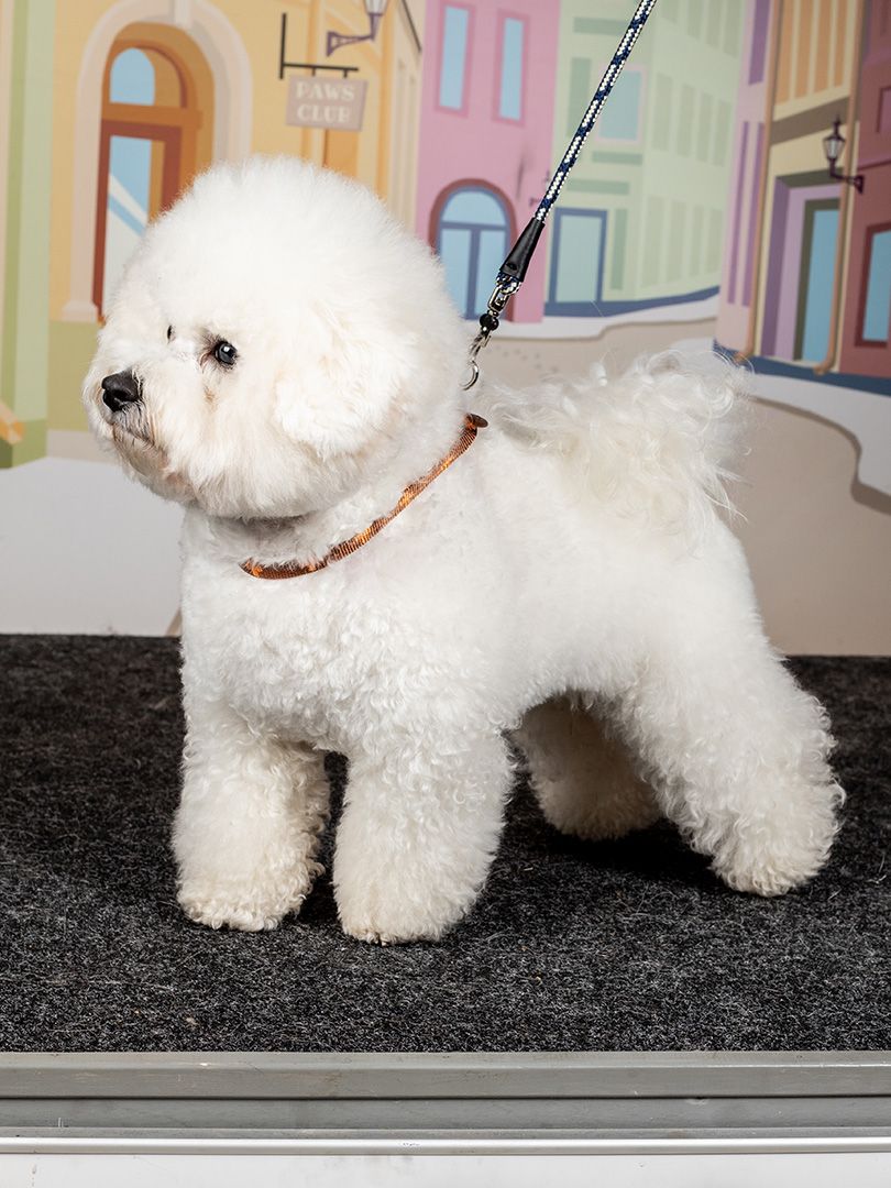 Produkt DAH0671765 Bild 10