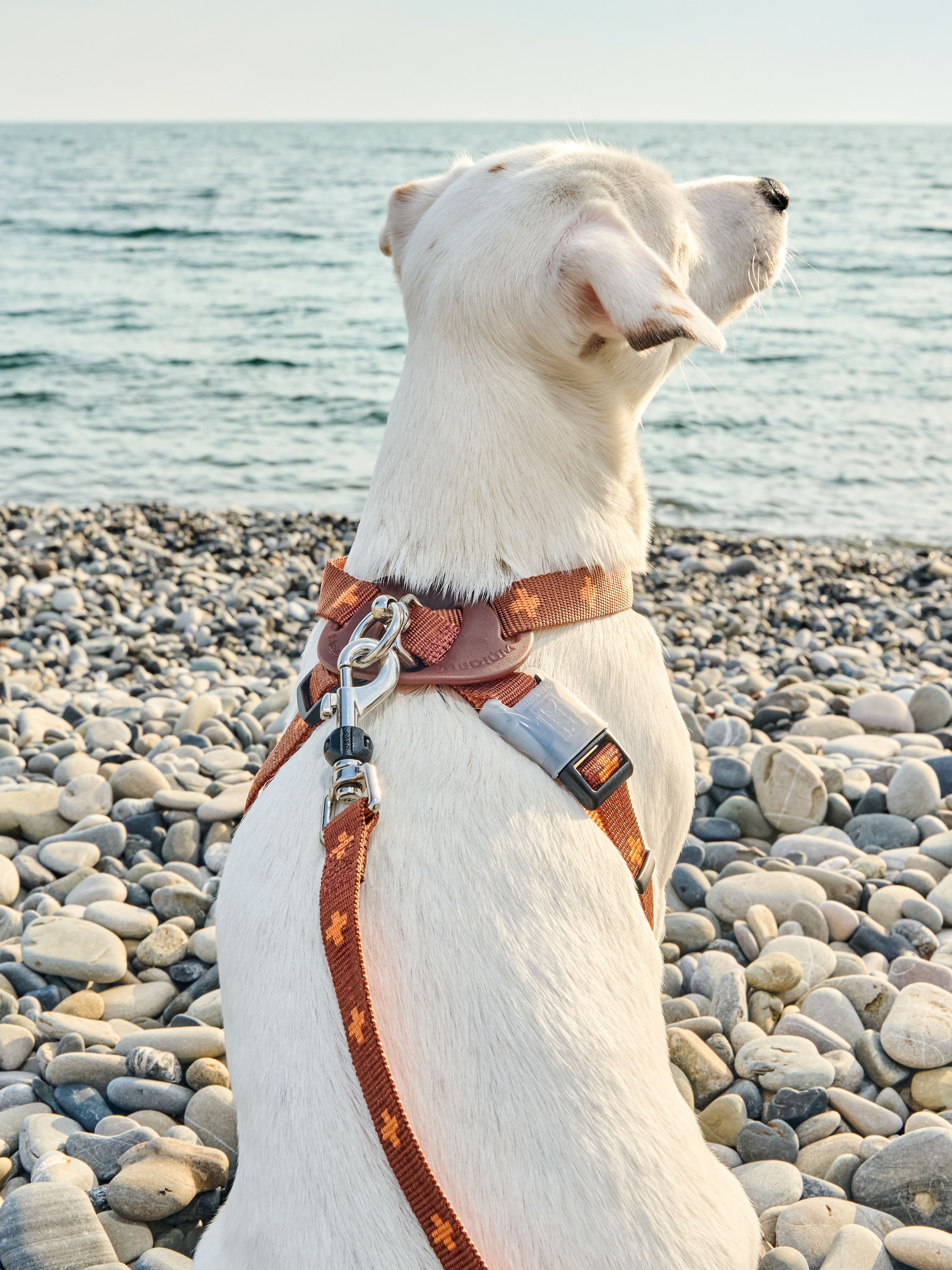 Produkt DAH0671765 Bild 11