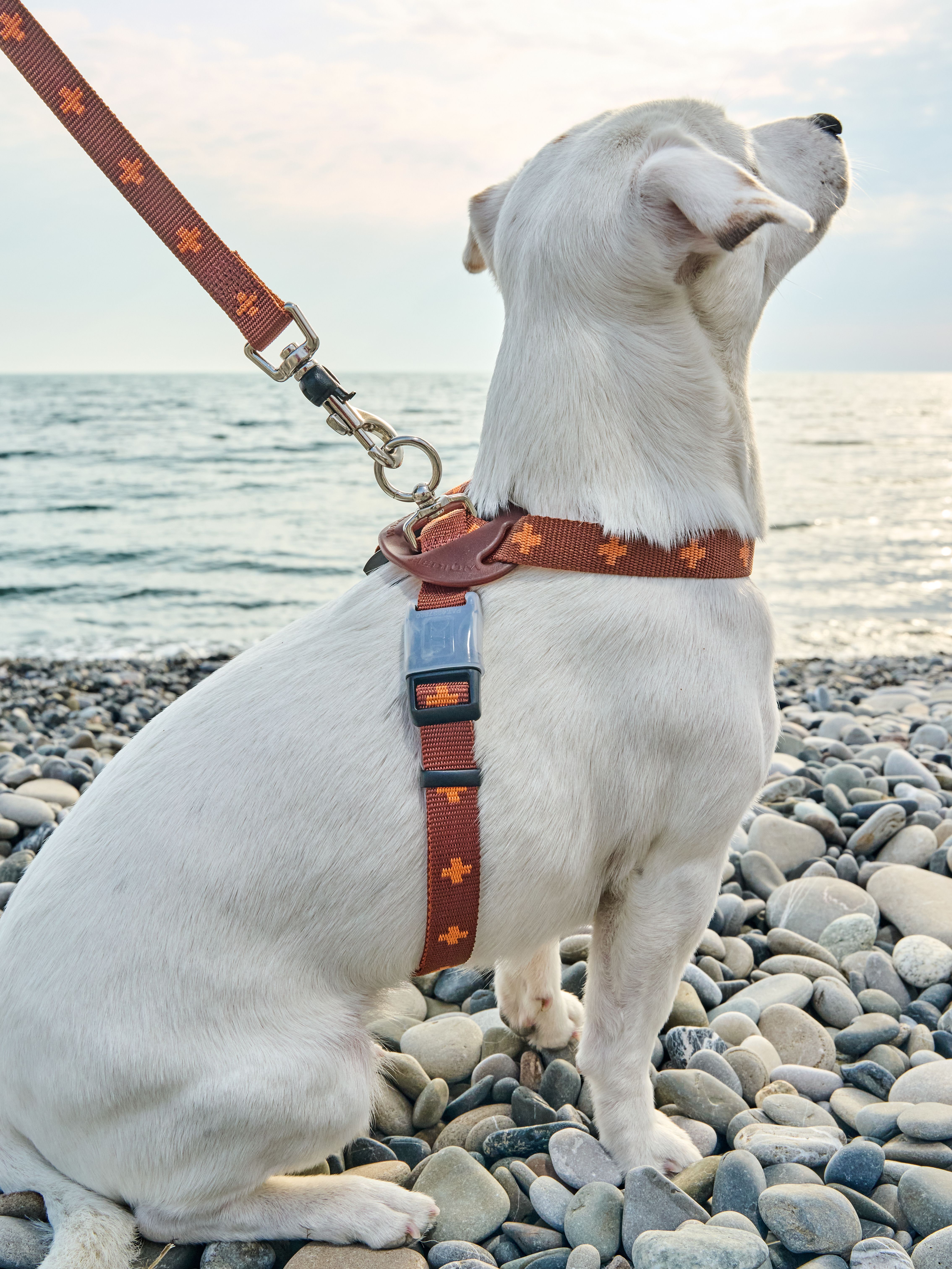 Produkt DAH0671765 Bild 12