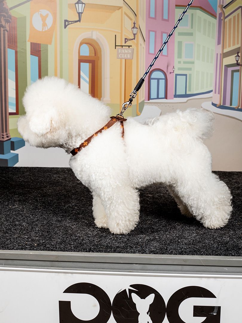 Produkt DAH0671765 Bild 13