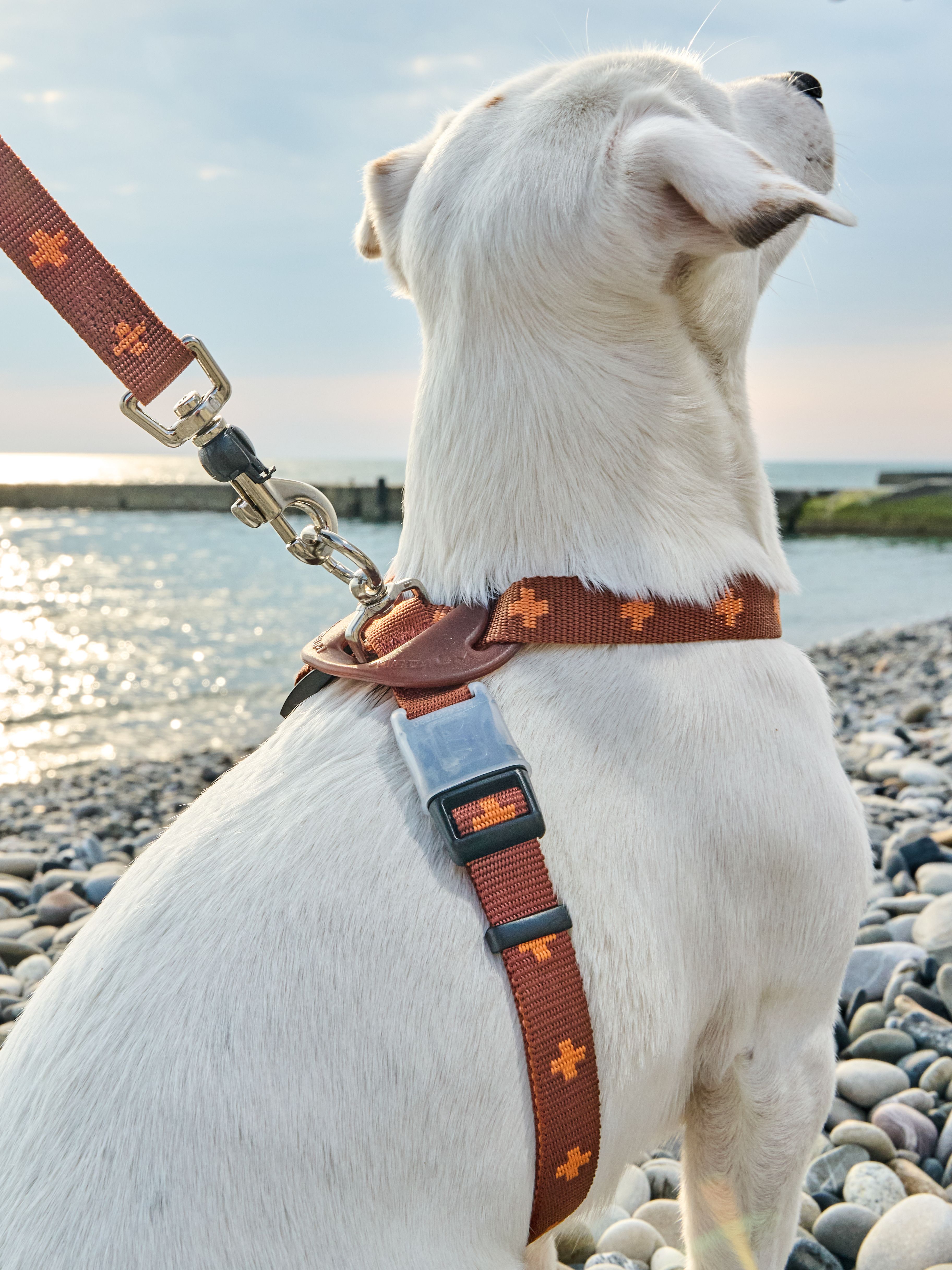 Produkt DAH0671765 Bild 14