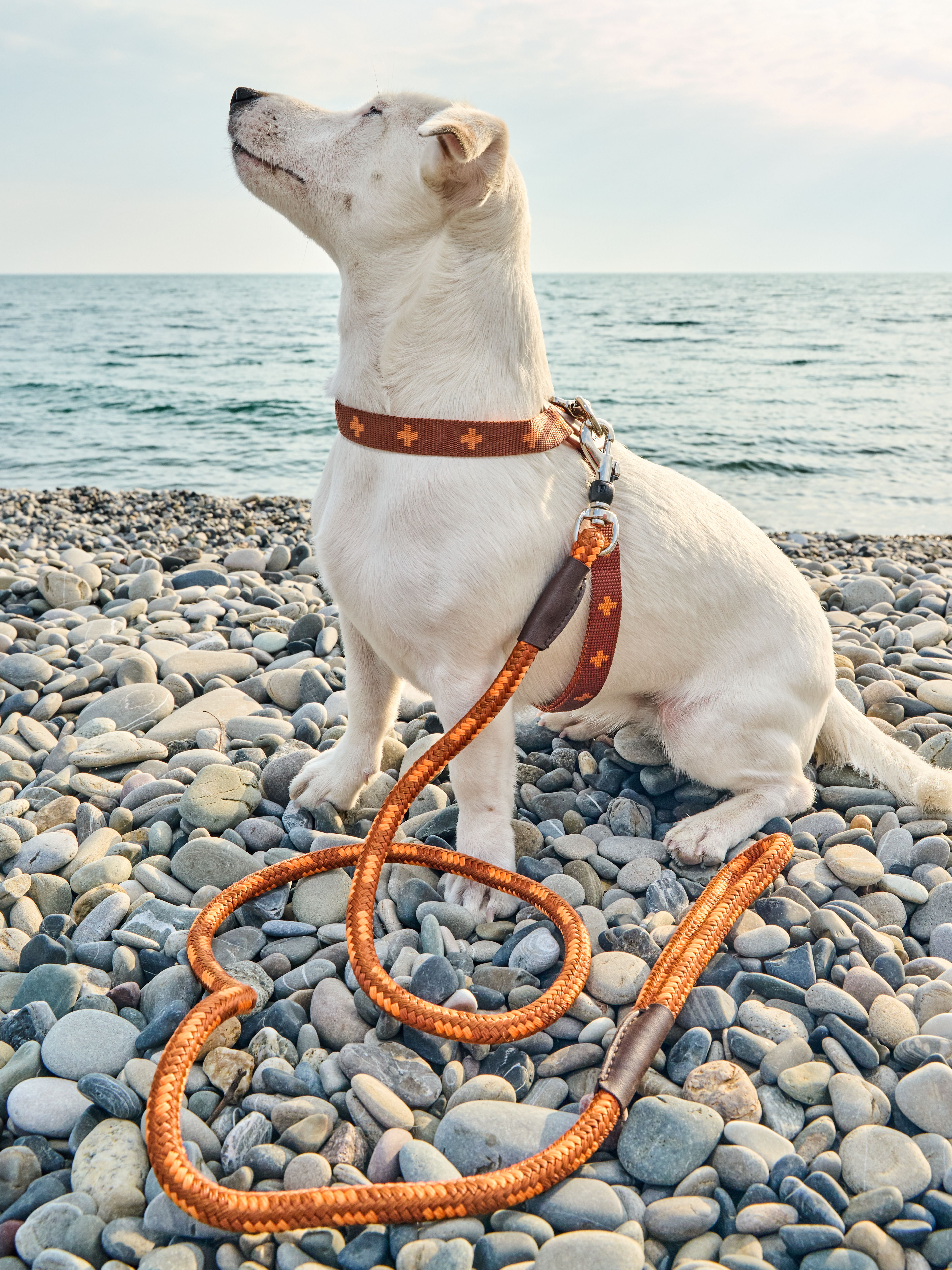 Produkt DAH0671765 Bild 2