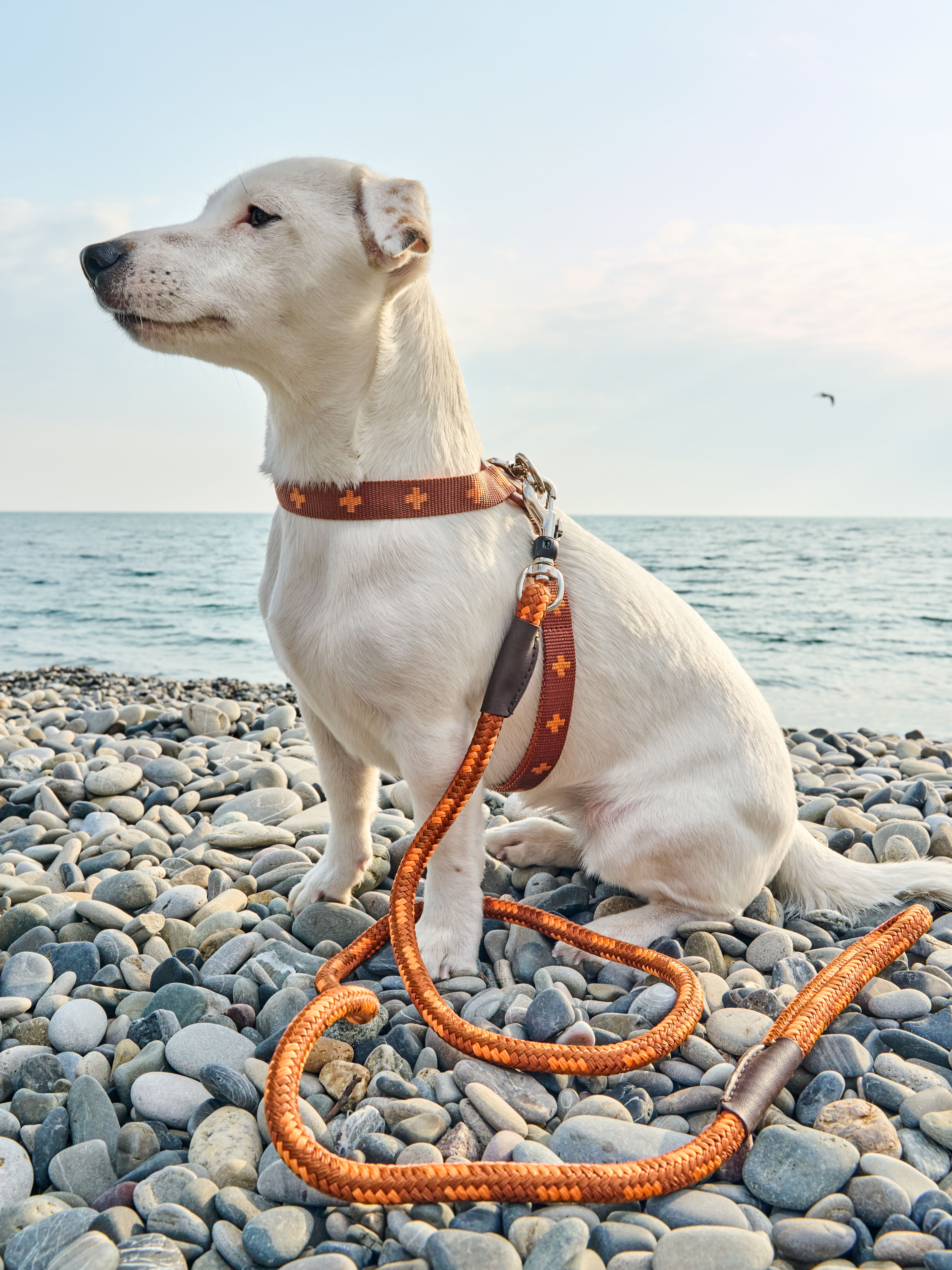 Produkt DAH0671765 Bild 15