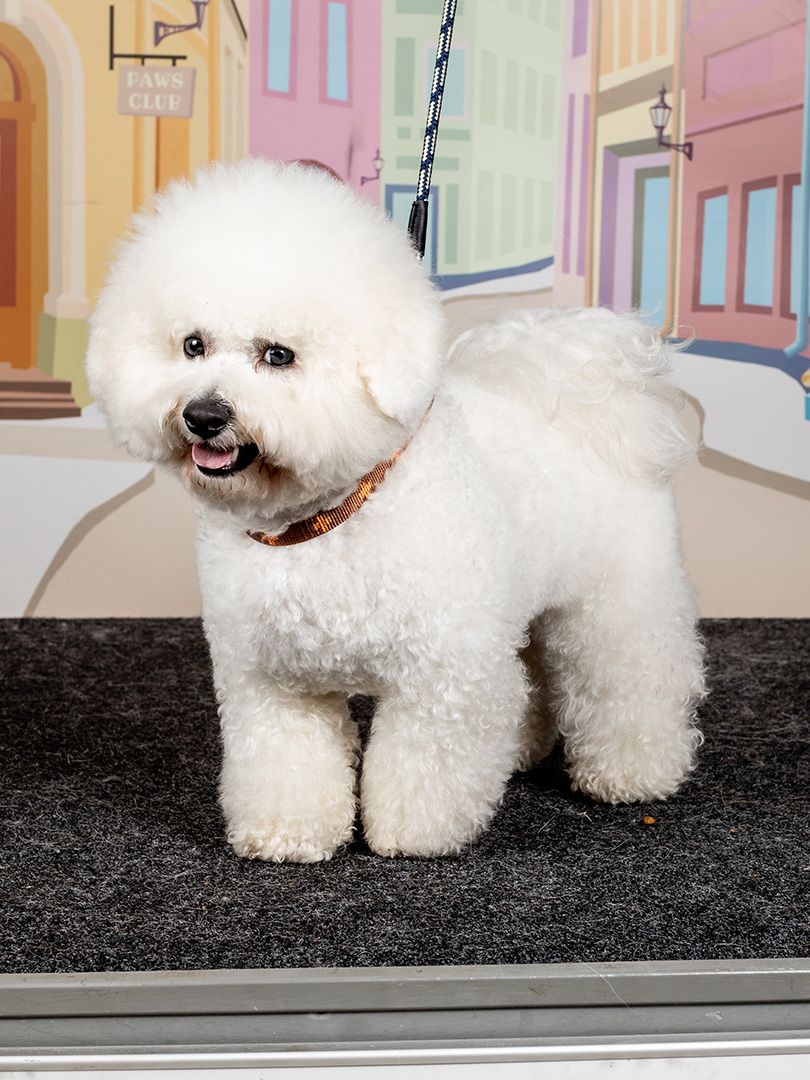 Produkt DAH0671765 Bild 16