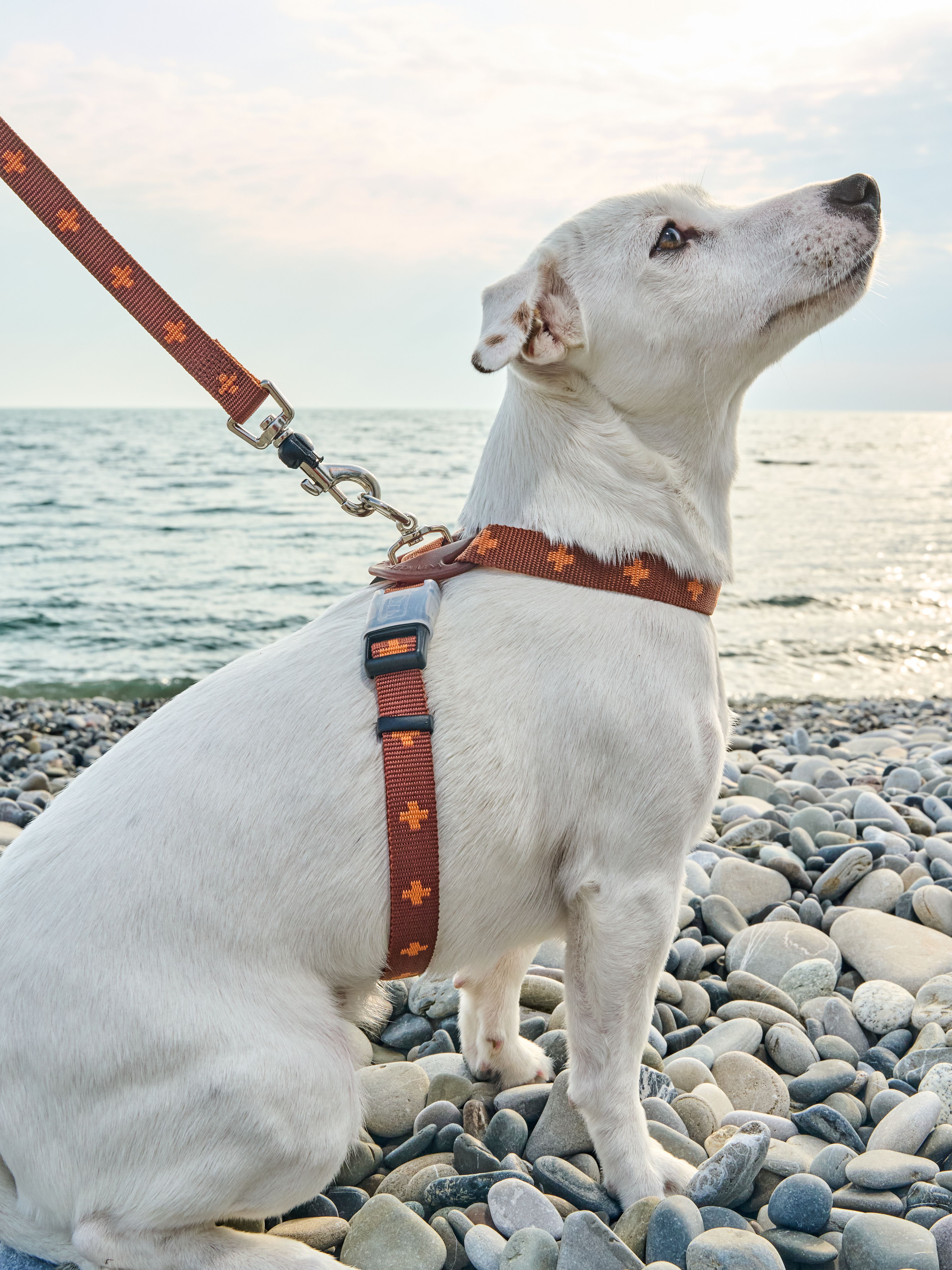 Produkt DAH0671765 Bild 17