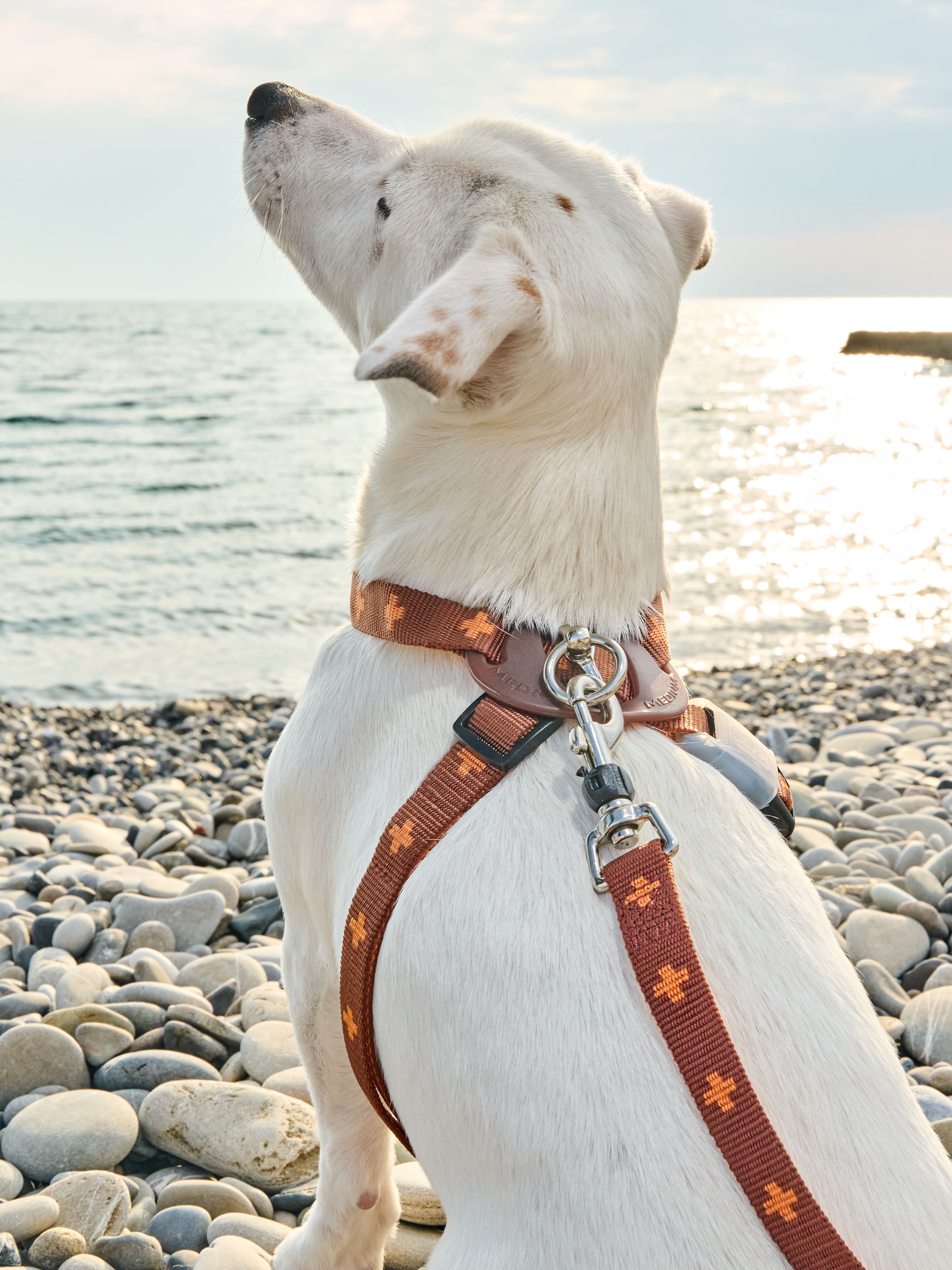 Produkt DAH0671765 Bild 18