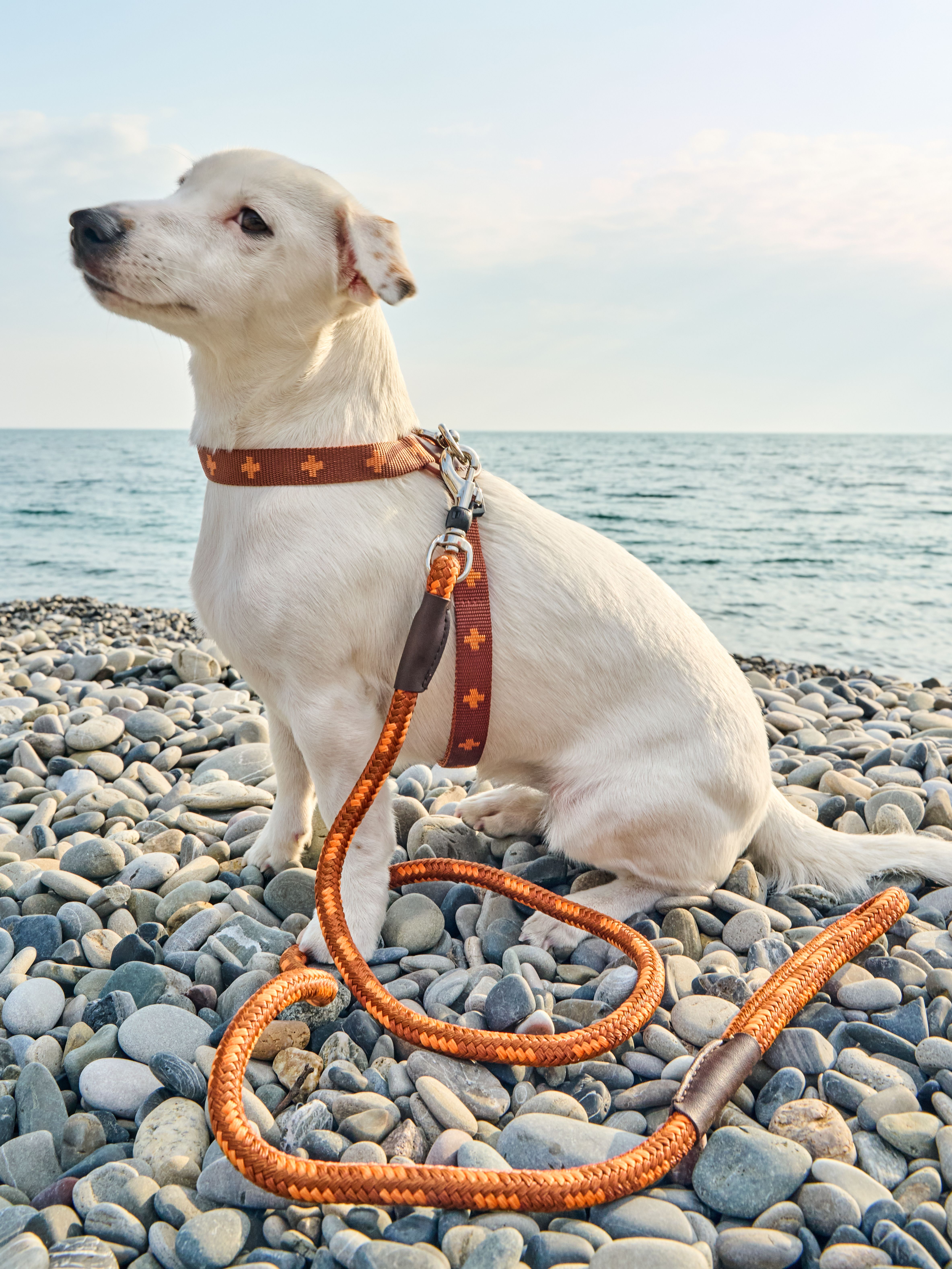 Produkt DAH0671765 Bild 19