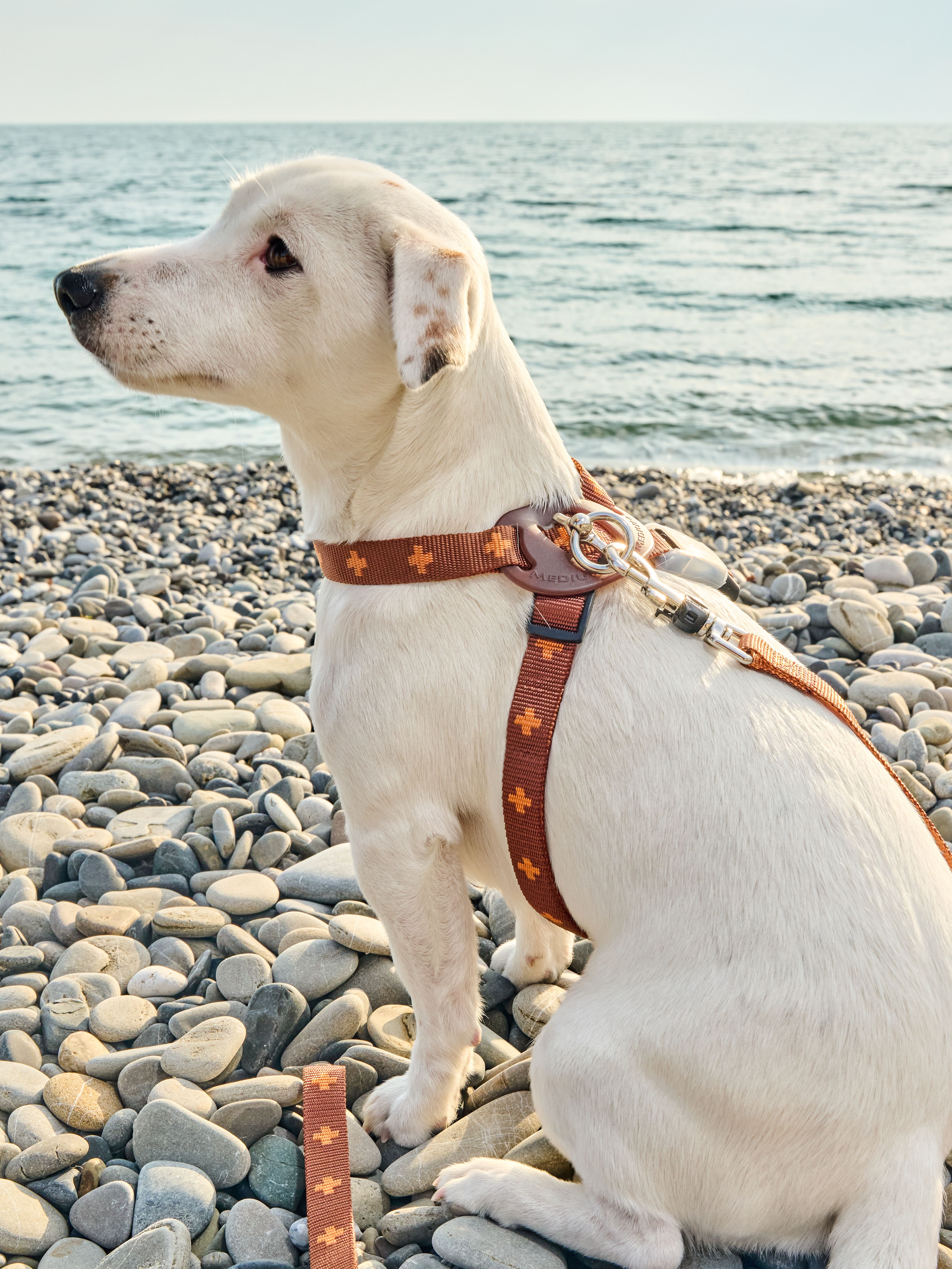 Produkt DAH0671765 Bild 20