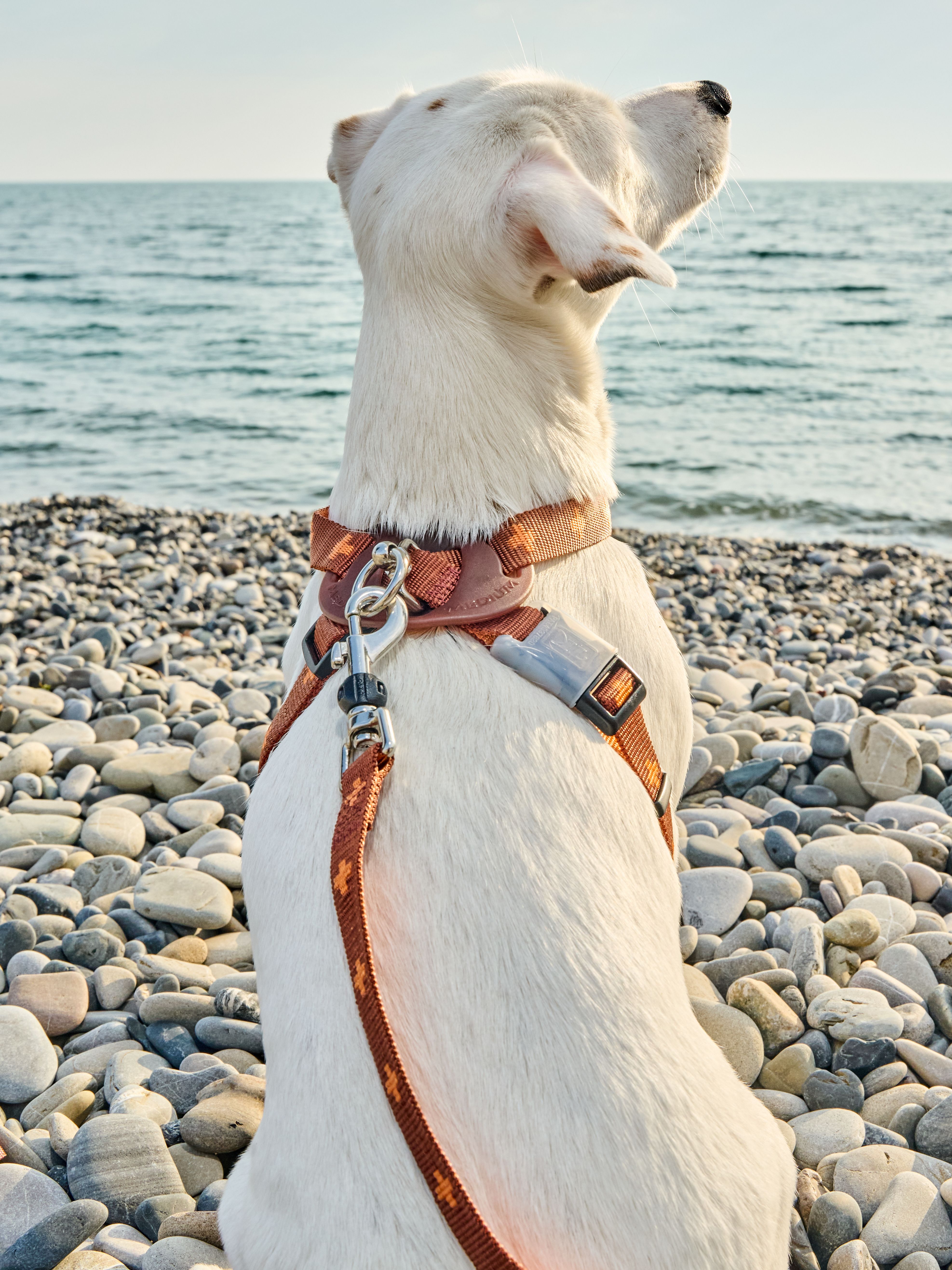 Produkt DAH0671765 Bild 21