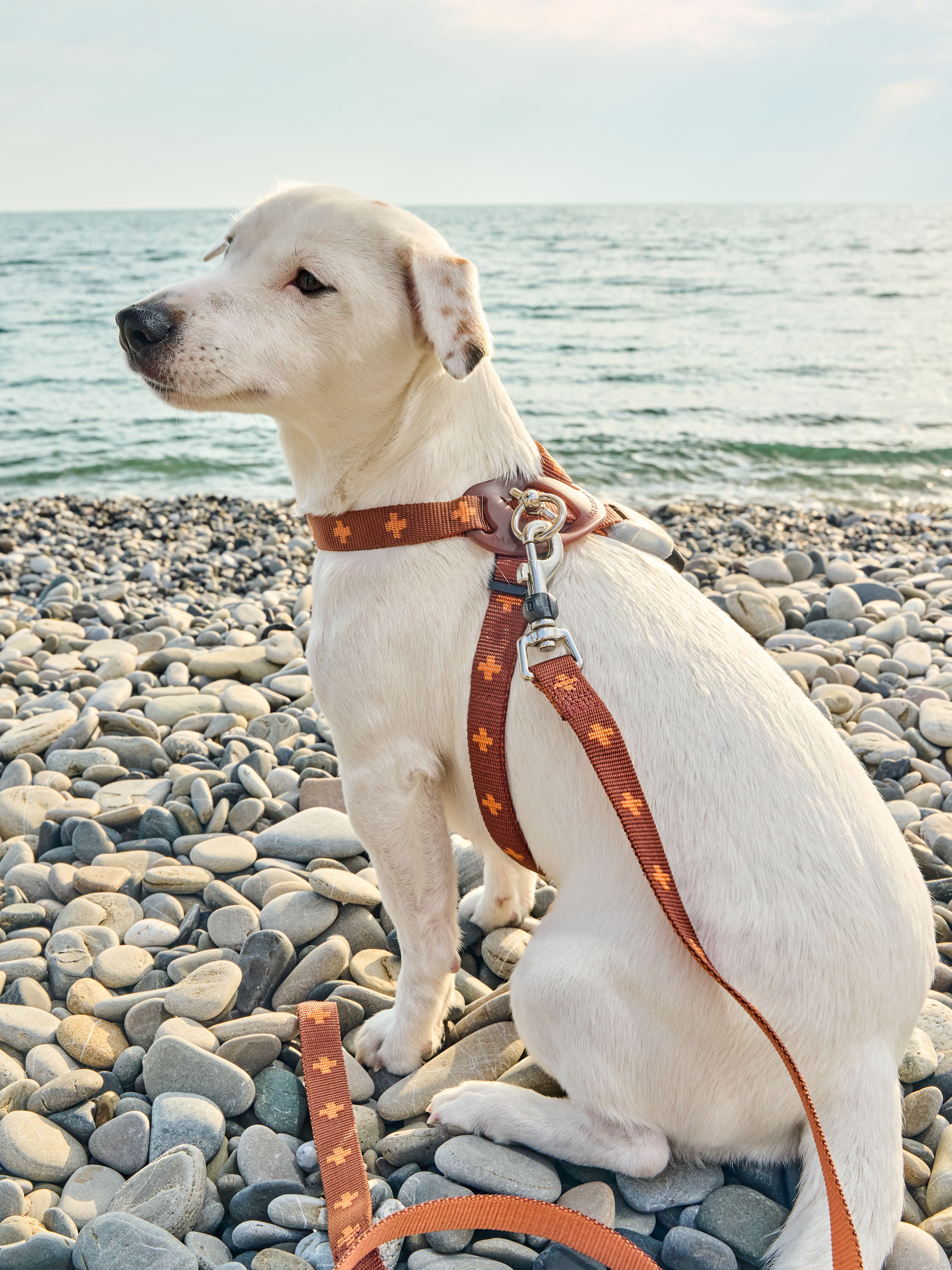 Produkt DAH0671765 Bild 22