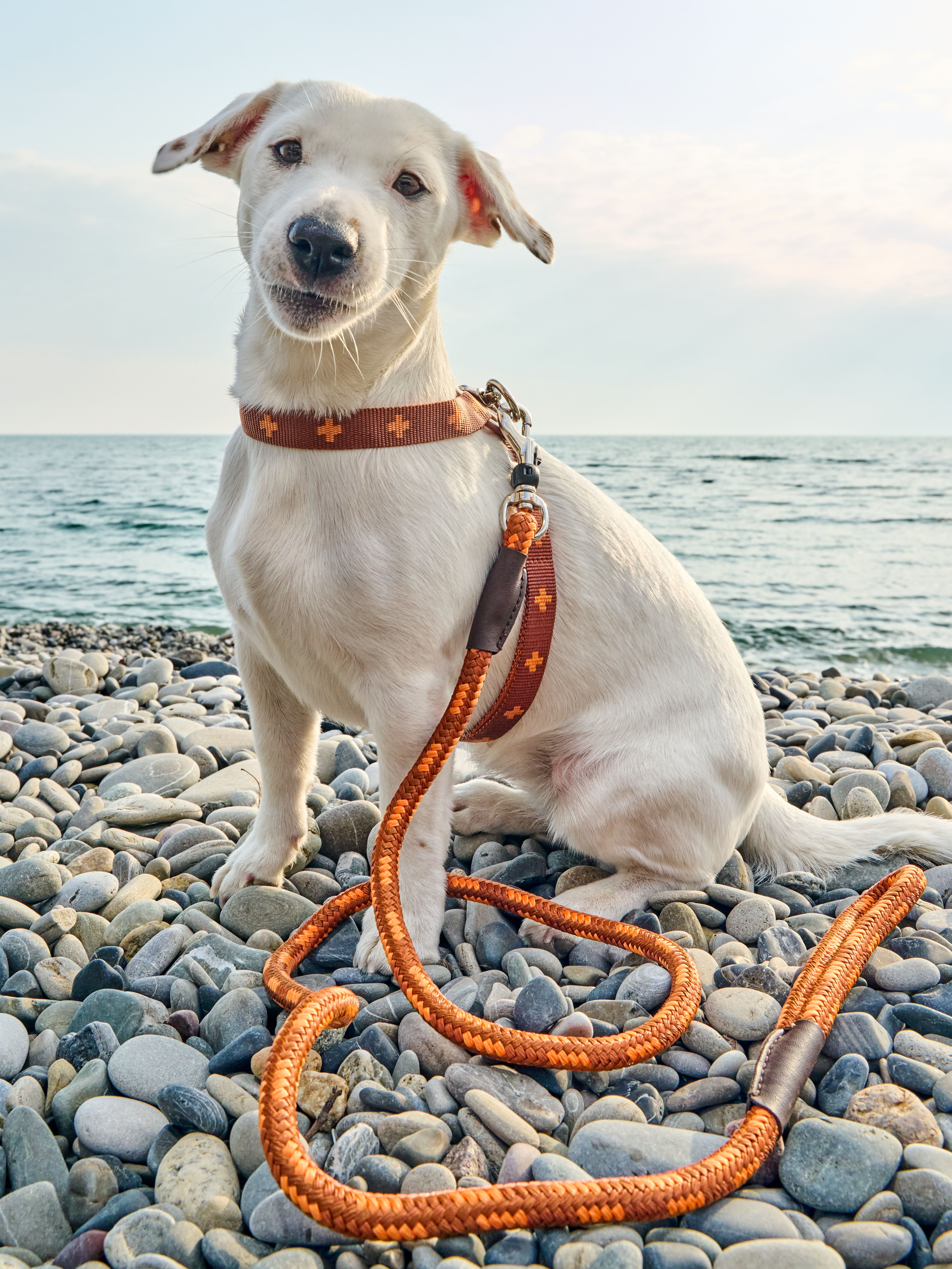 Produkt DAH0671765 Bild 23