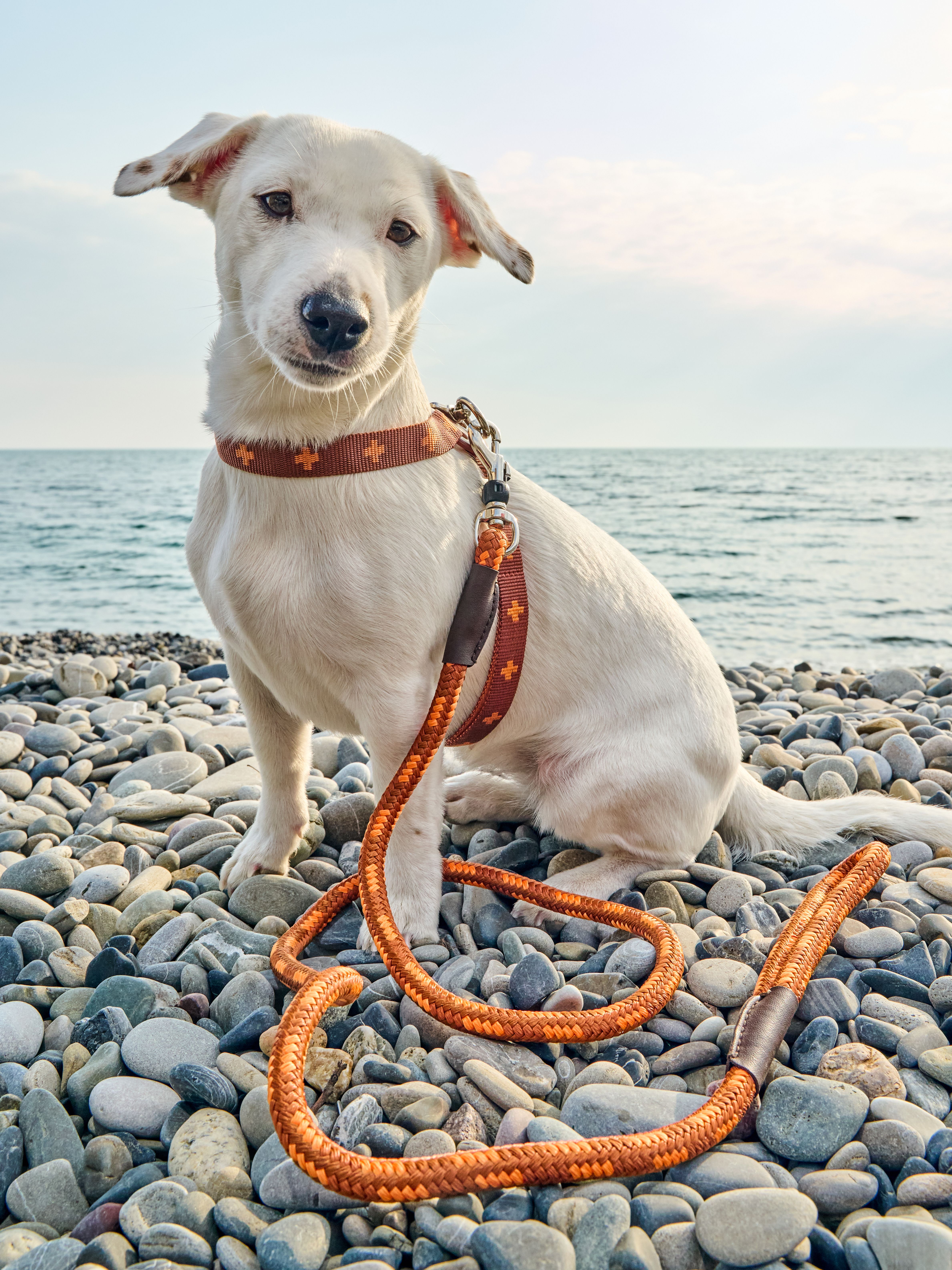 Produkt DAH0671765 Bild 24