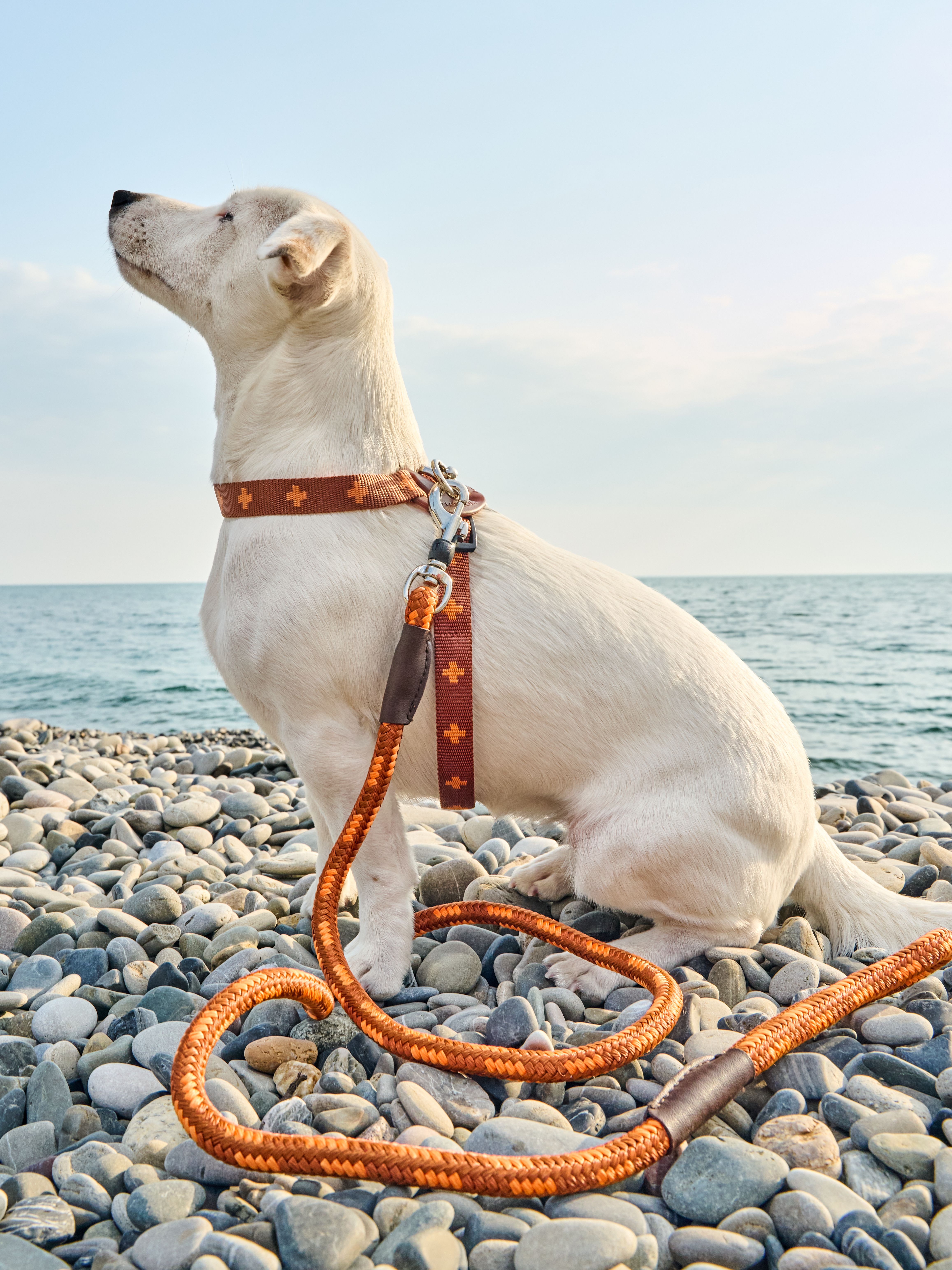 Produkt DAH0671765 Bild 3