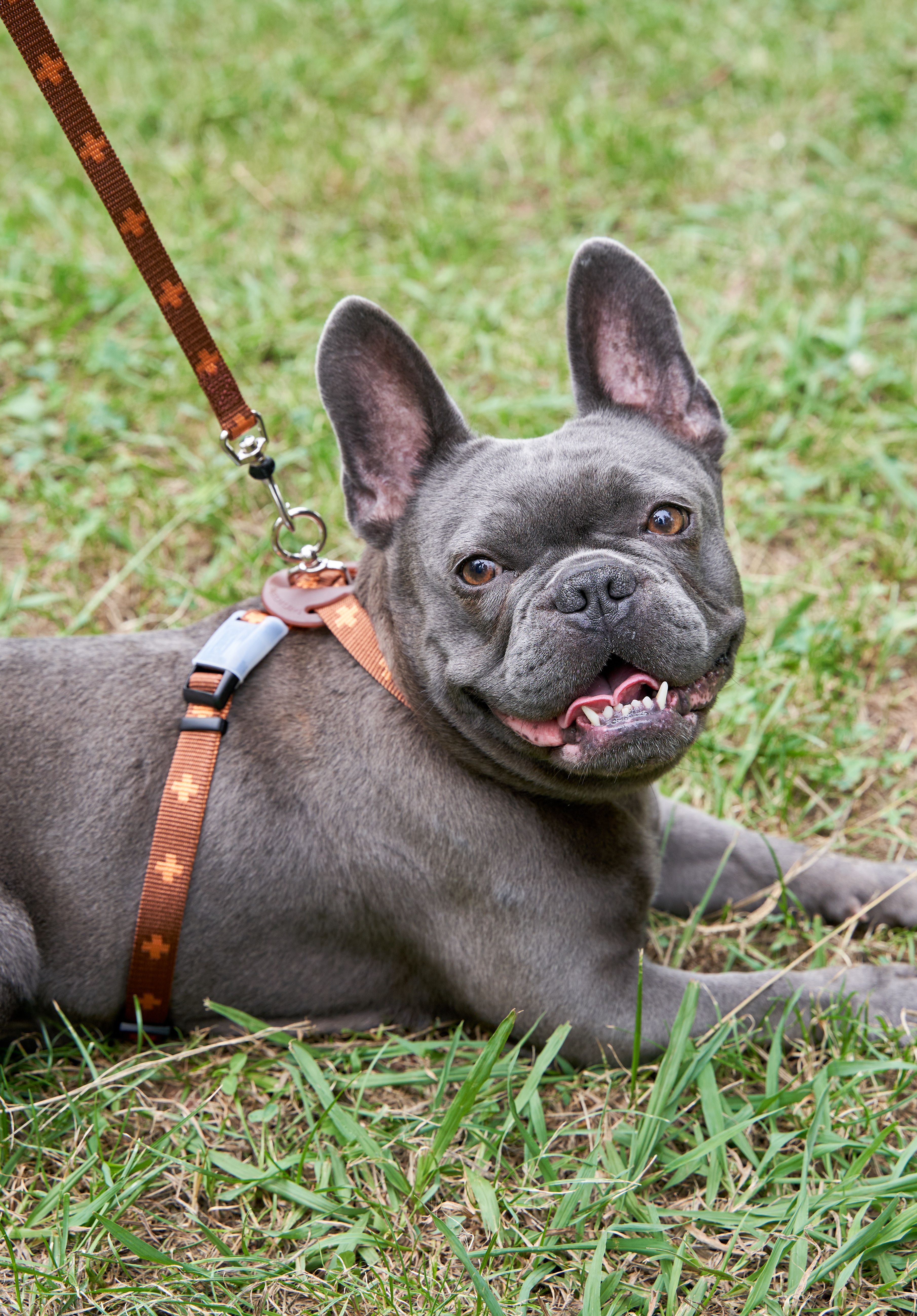 Produkt DAH0671765 Bild 25