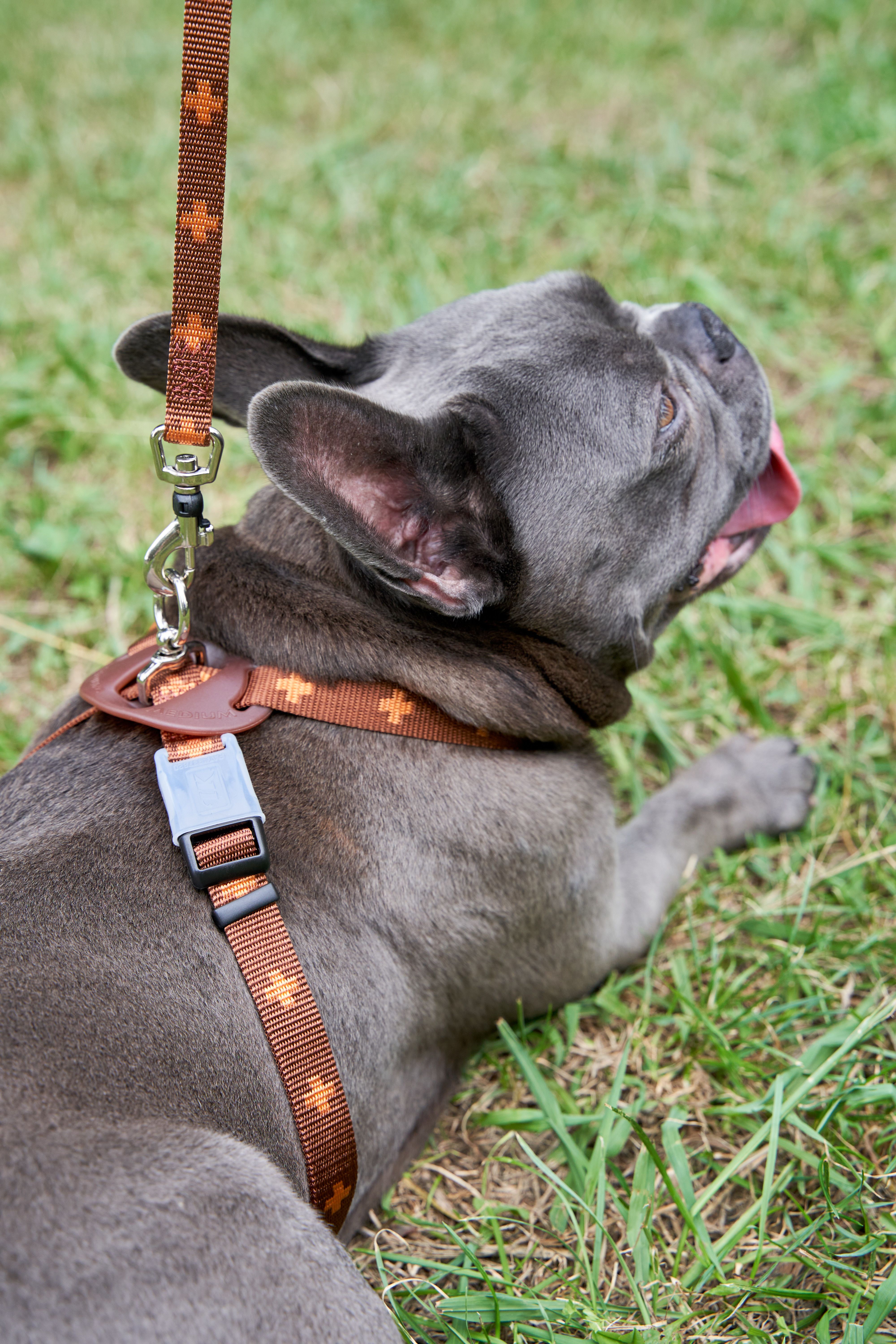 Produkt DAH0671765 Bild 26