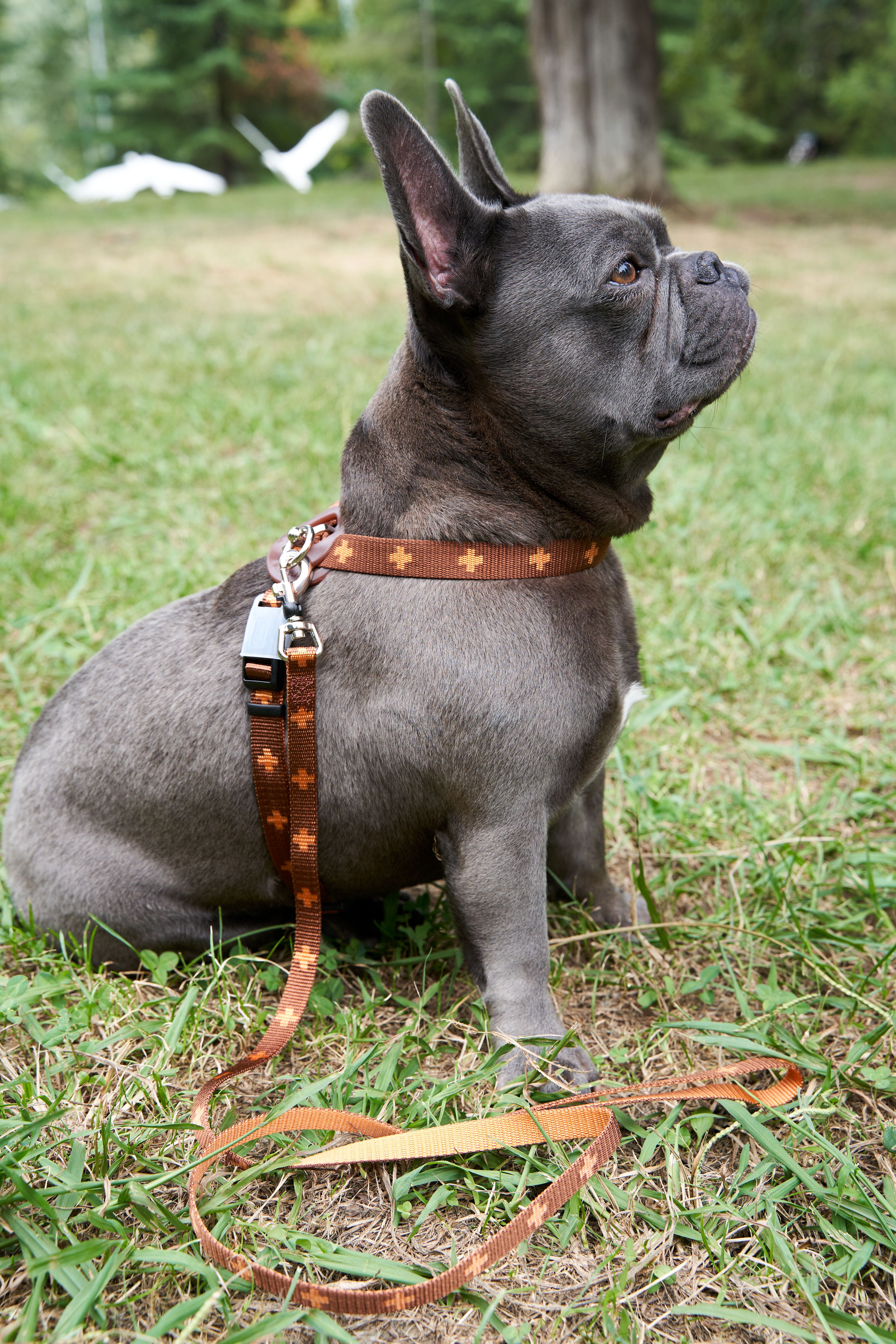 Produkt DAH0671765 Bild 27