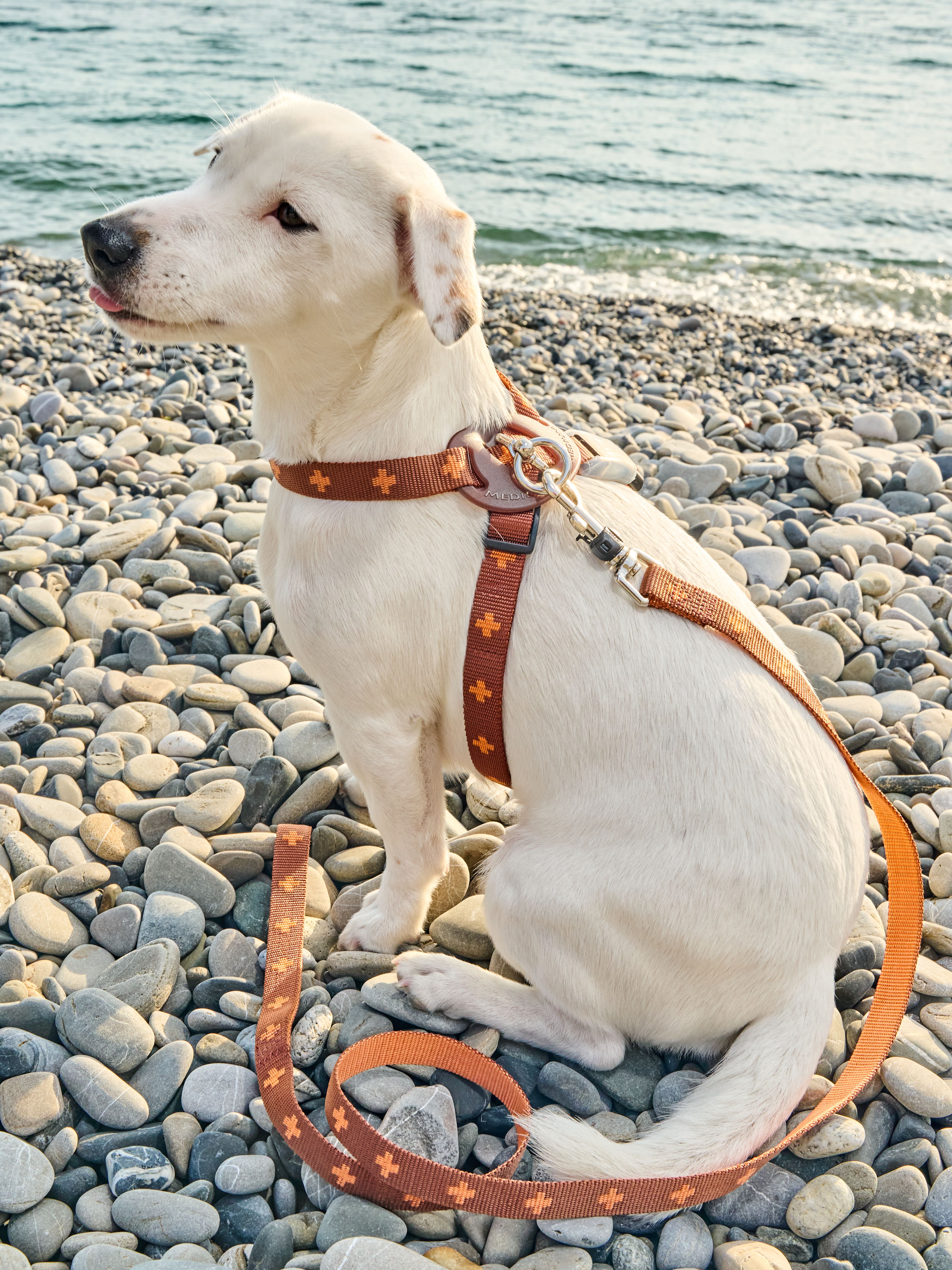 Produkt DAH0671765 Bild 28