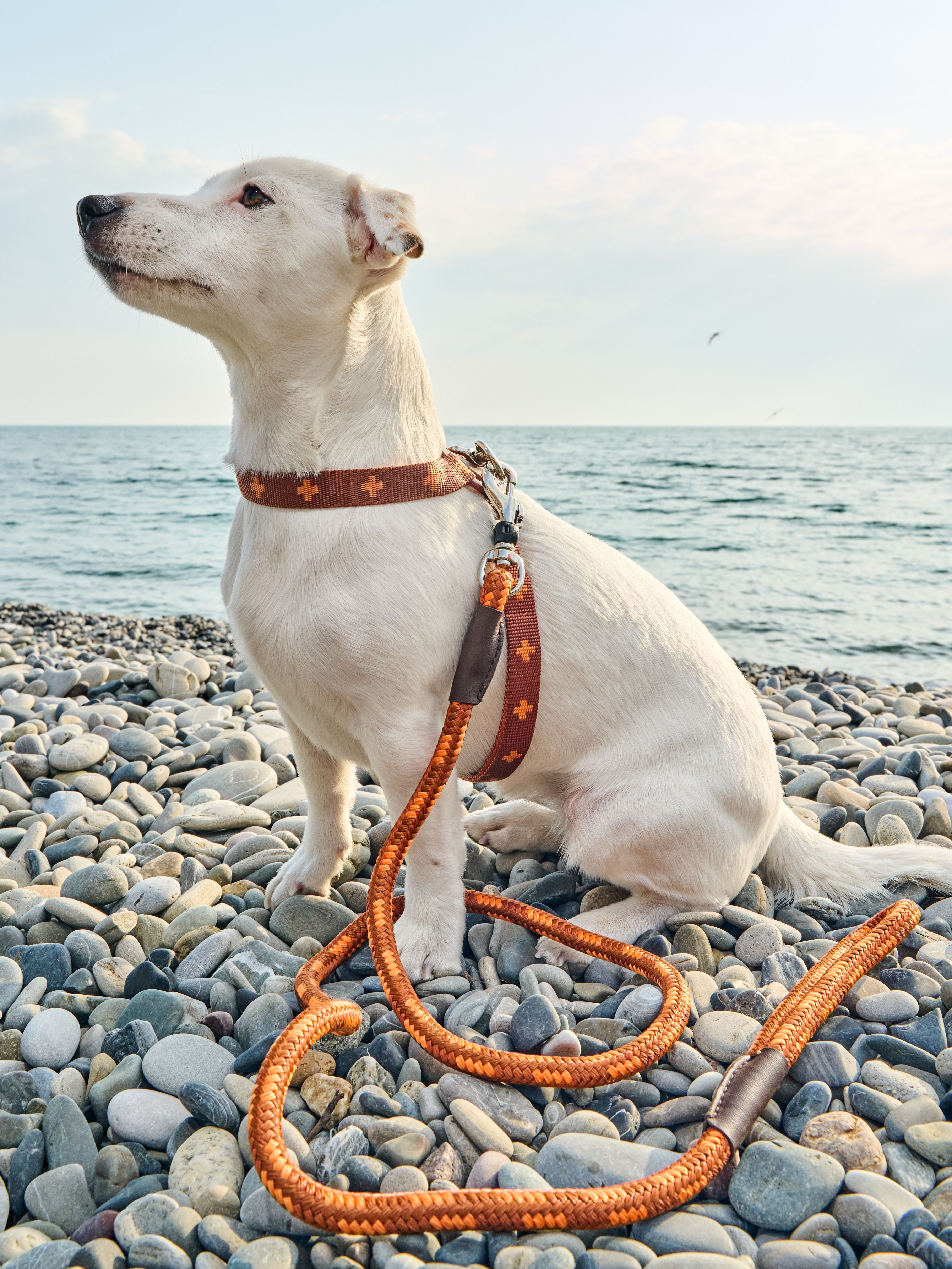 Produkt DAH0671765 Bild 4