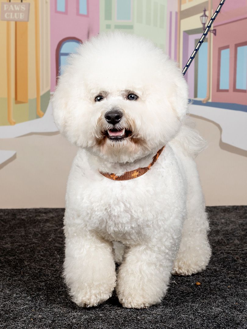 Produkt DAH0671765 Bild 8