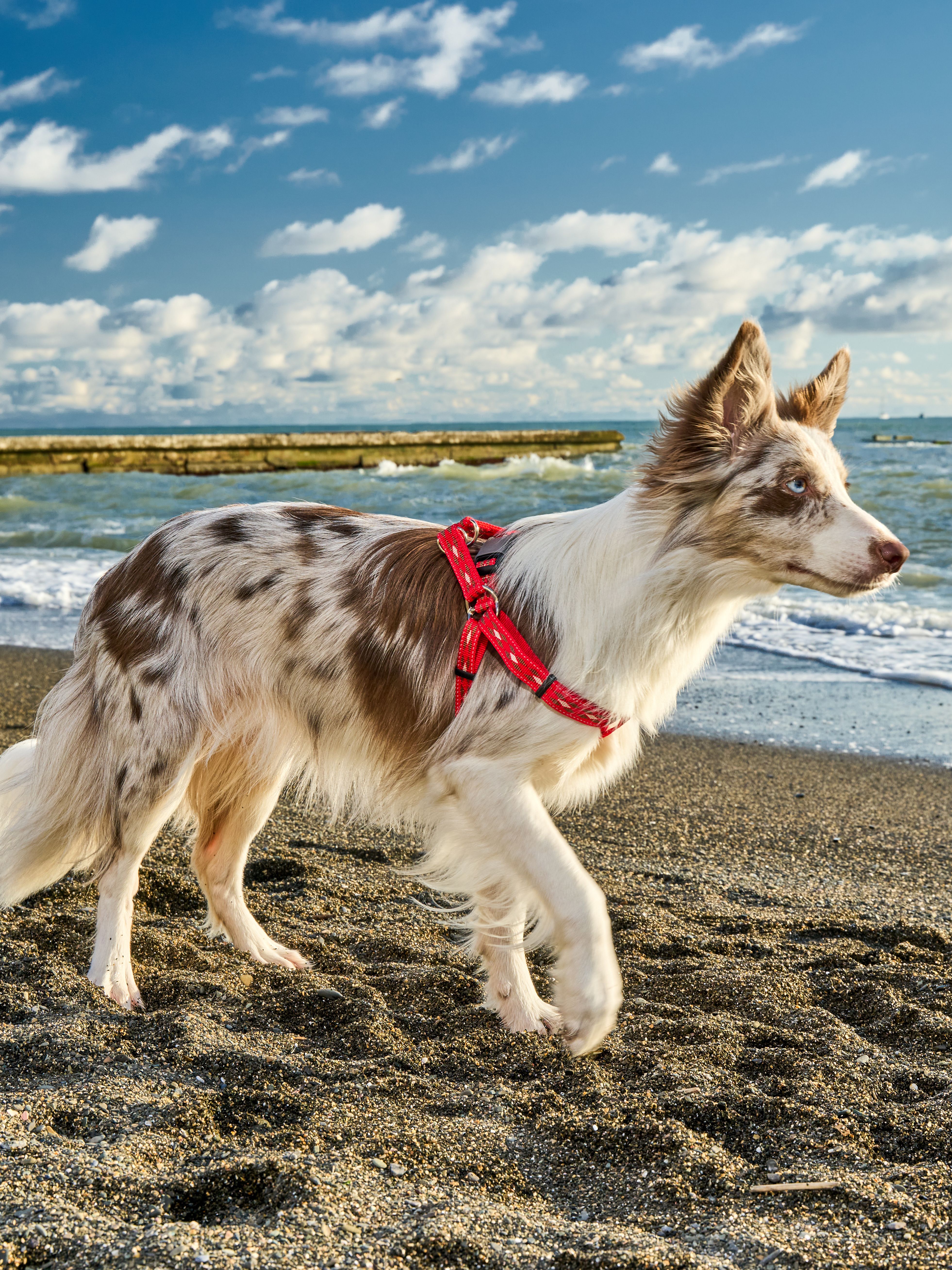 Produkt DAH0672267 Bild 10