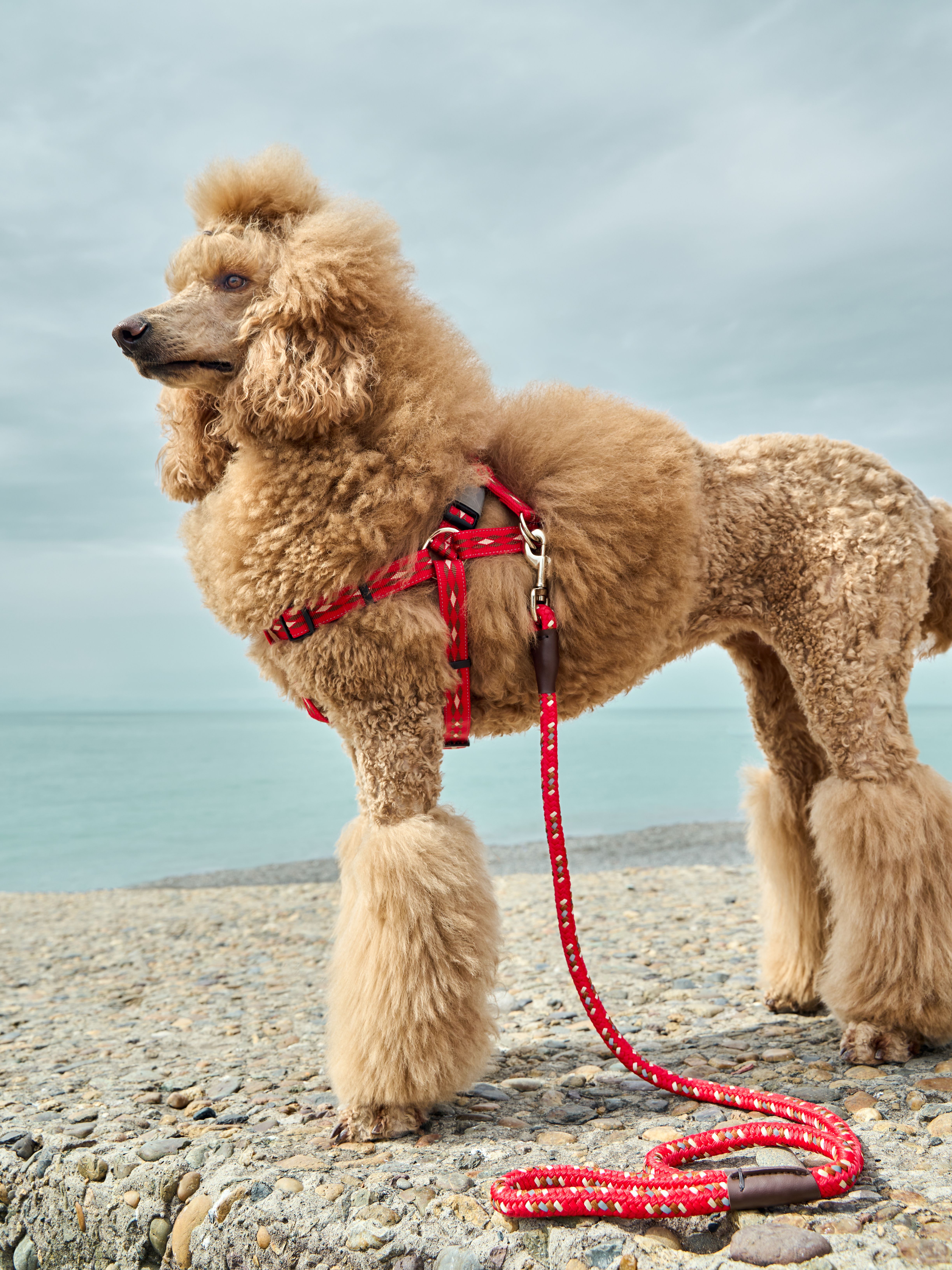 Produkt DAH0672267 Bild 12