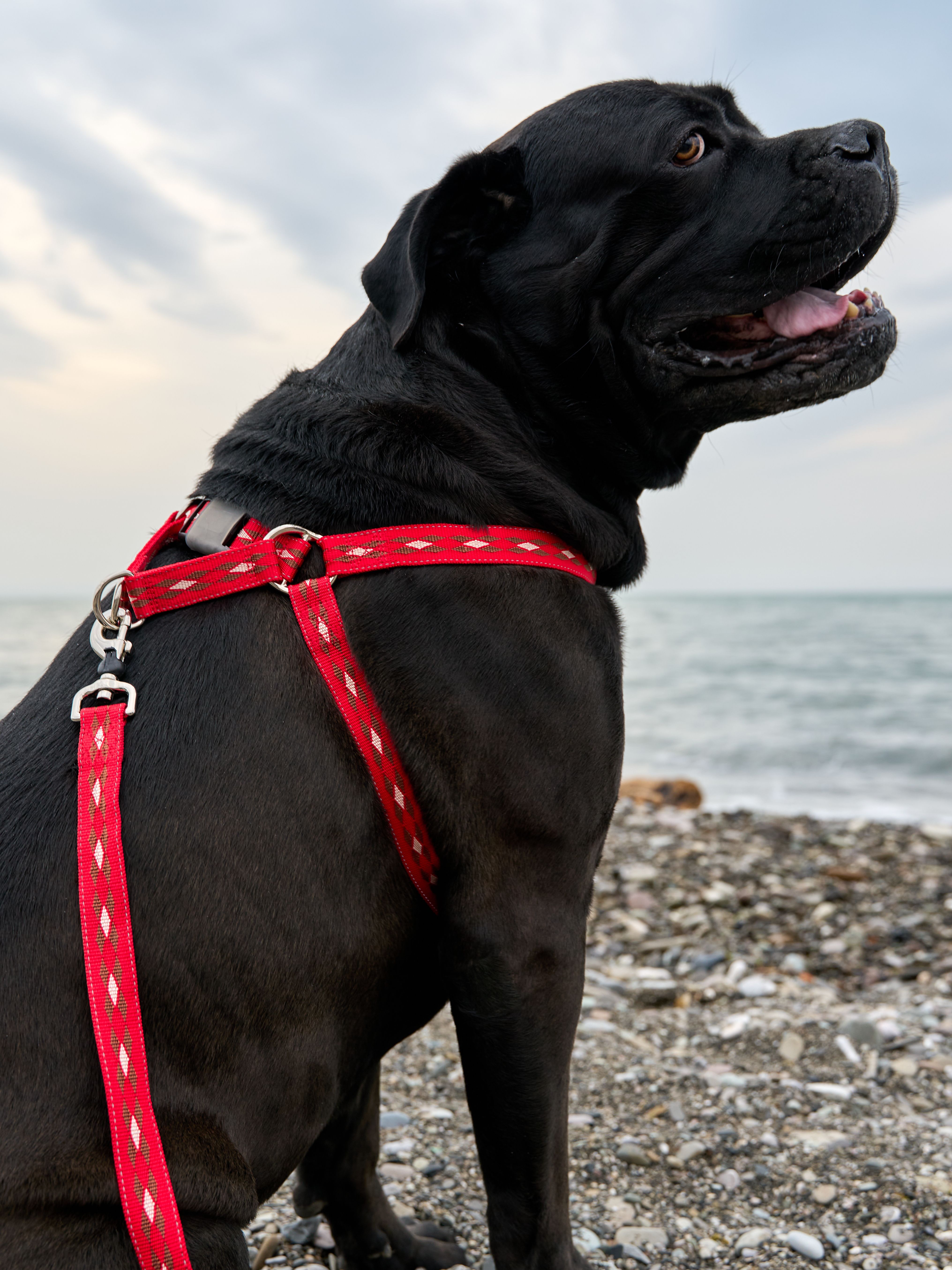 Produkt DAH0672267 Bild 14