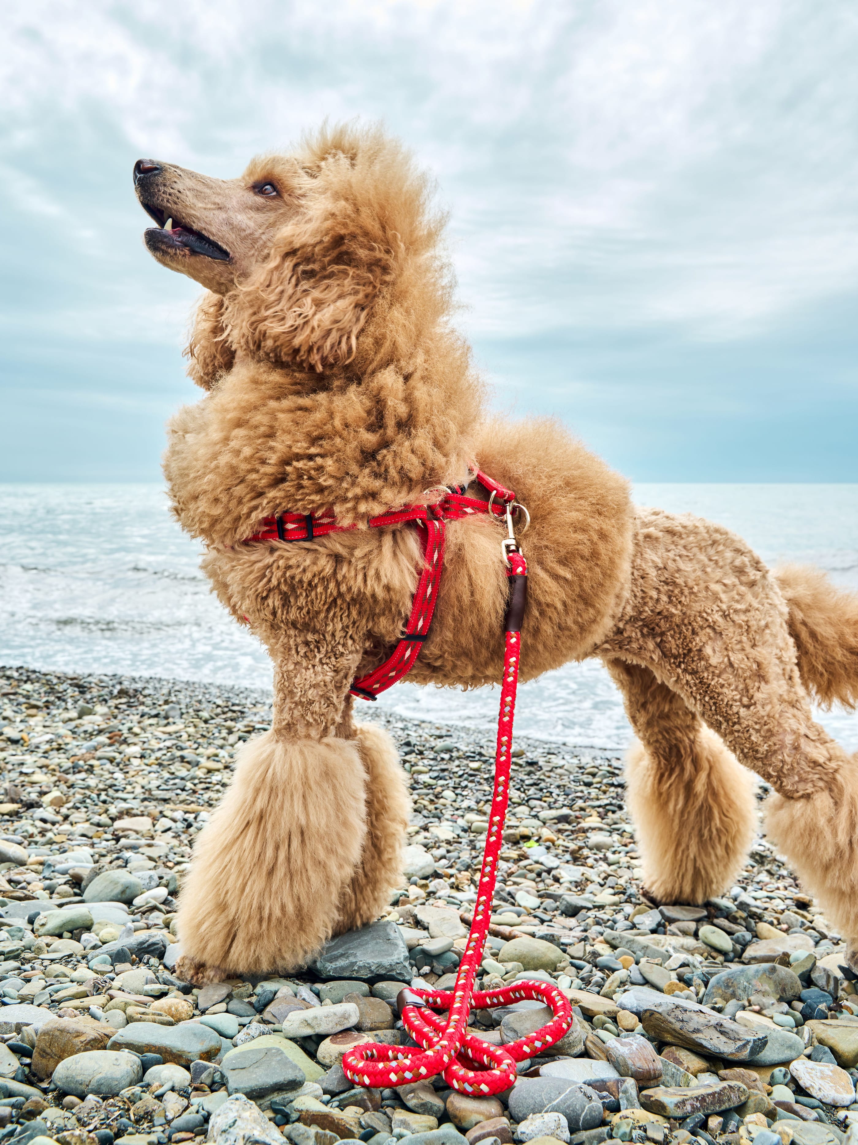 Produkt DAH0672267 Bild 2