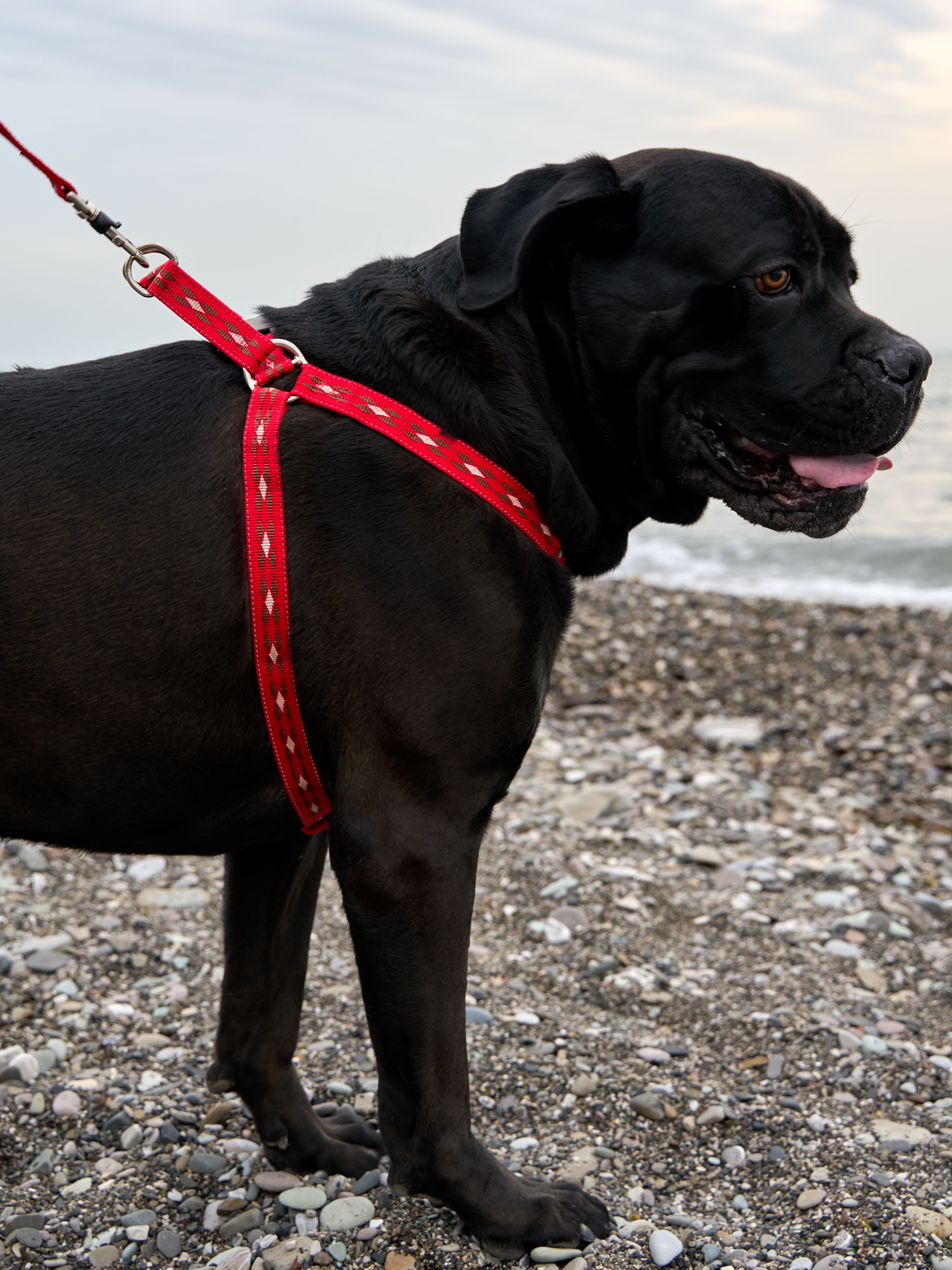 Produkt DAH0672267 Bild 3