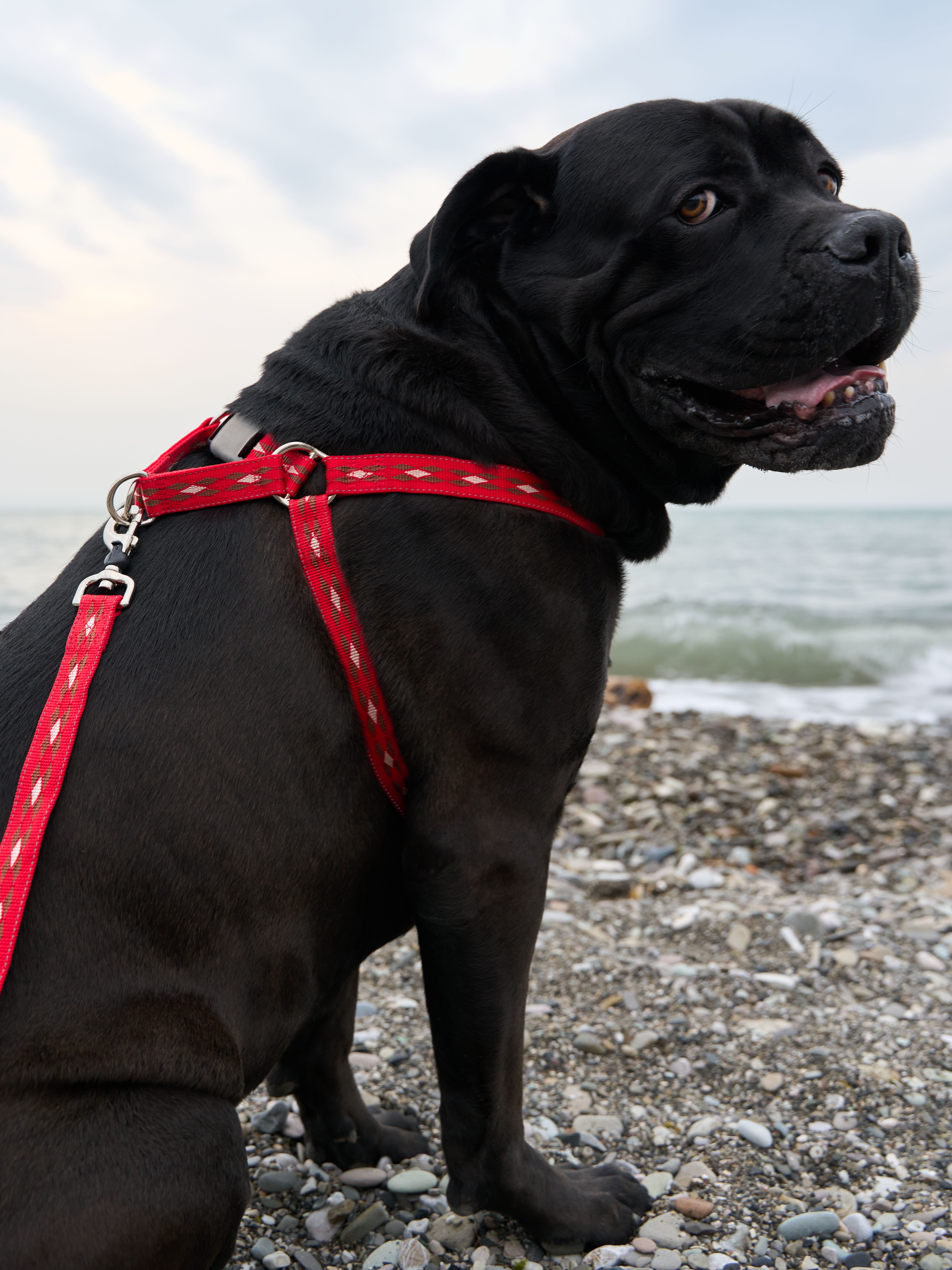 Produkt DAH0672267 Bild 4