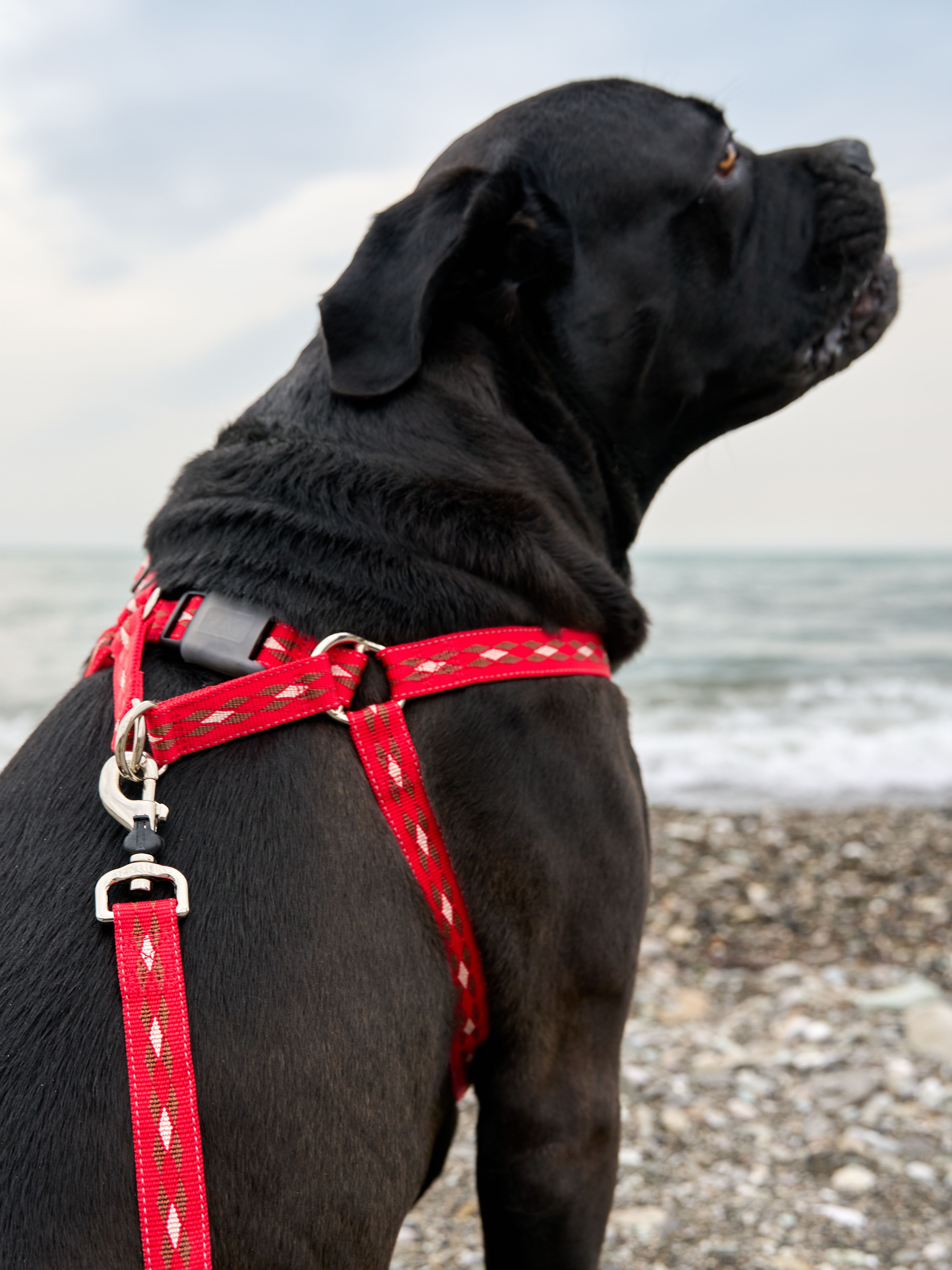 Produkt DAH0672267 Bild 5