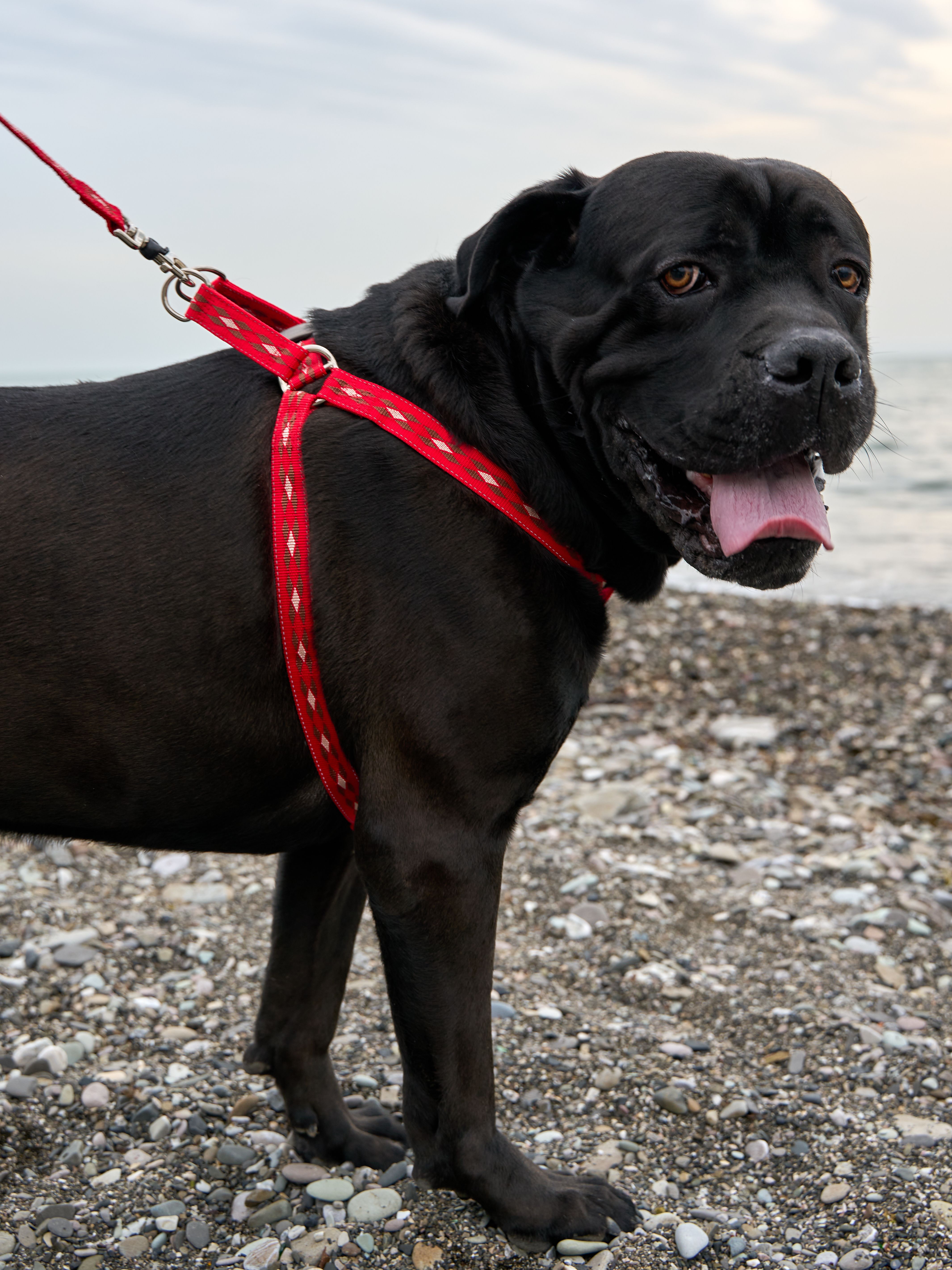 Produkt DAH0672267 Bild 6