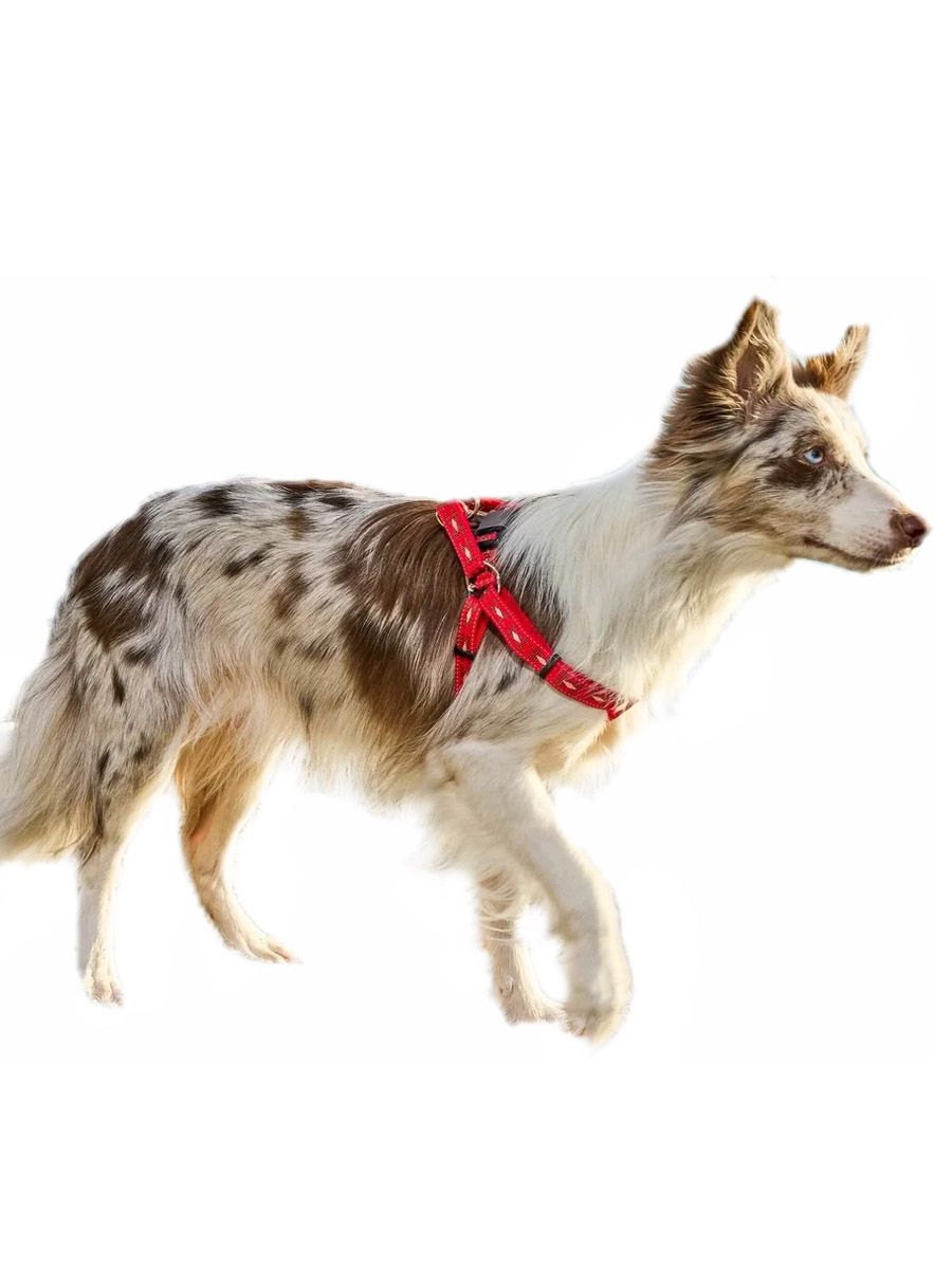 Produkt DAH0672267 Bild 7