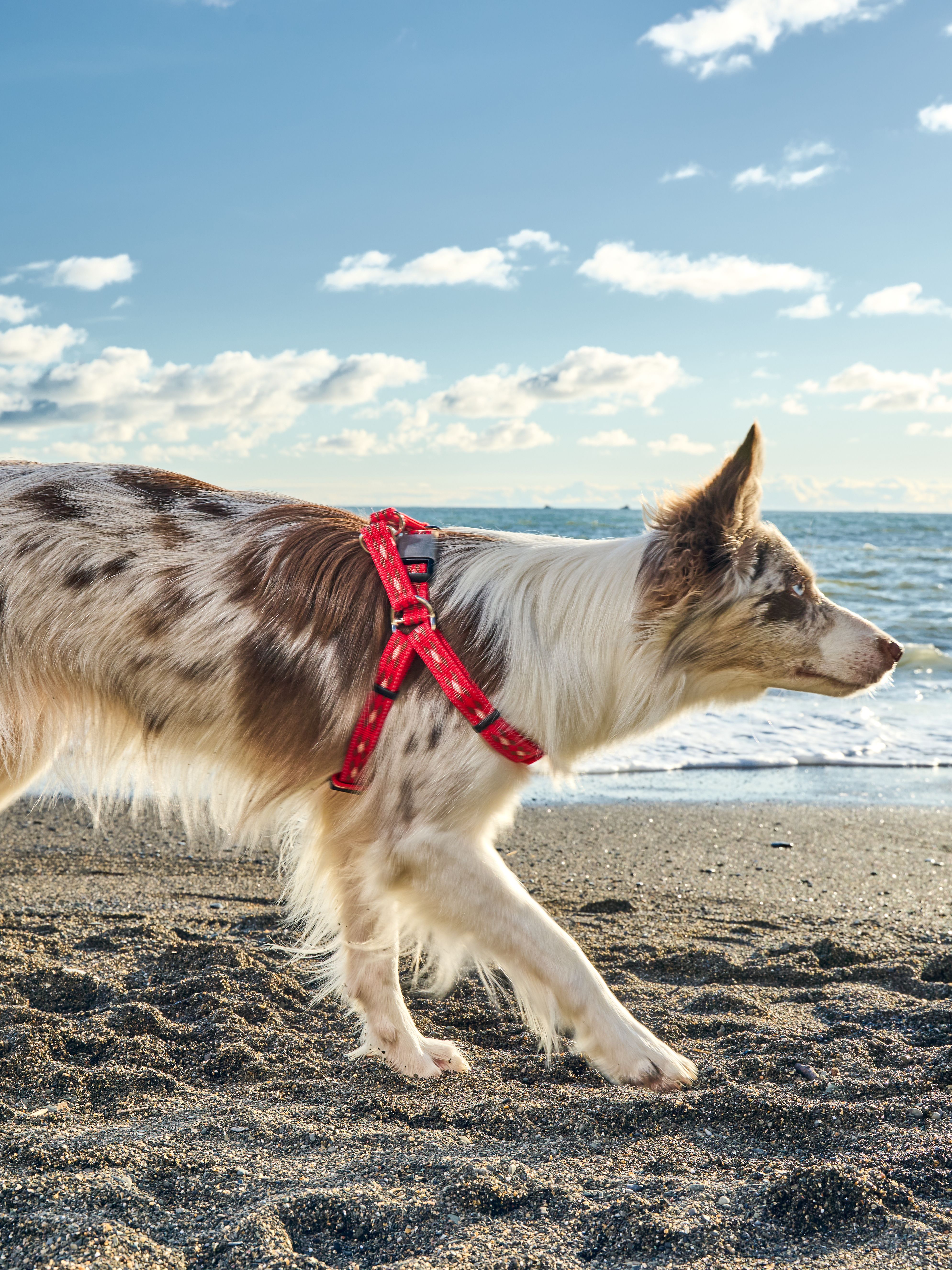 Produkt DAH0672267 Bild 9