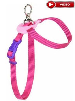 Produkt DAH0679969 Bild 3