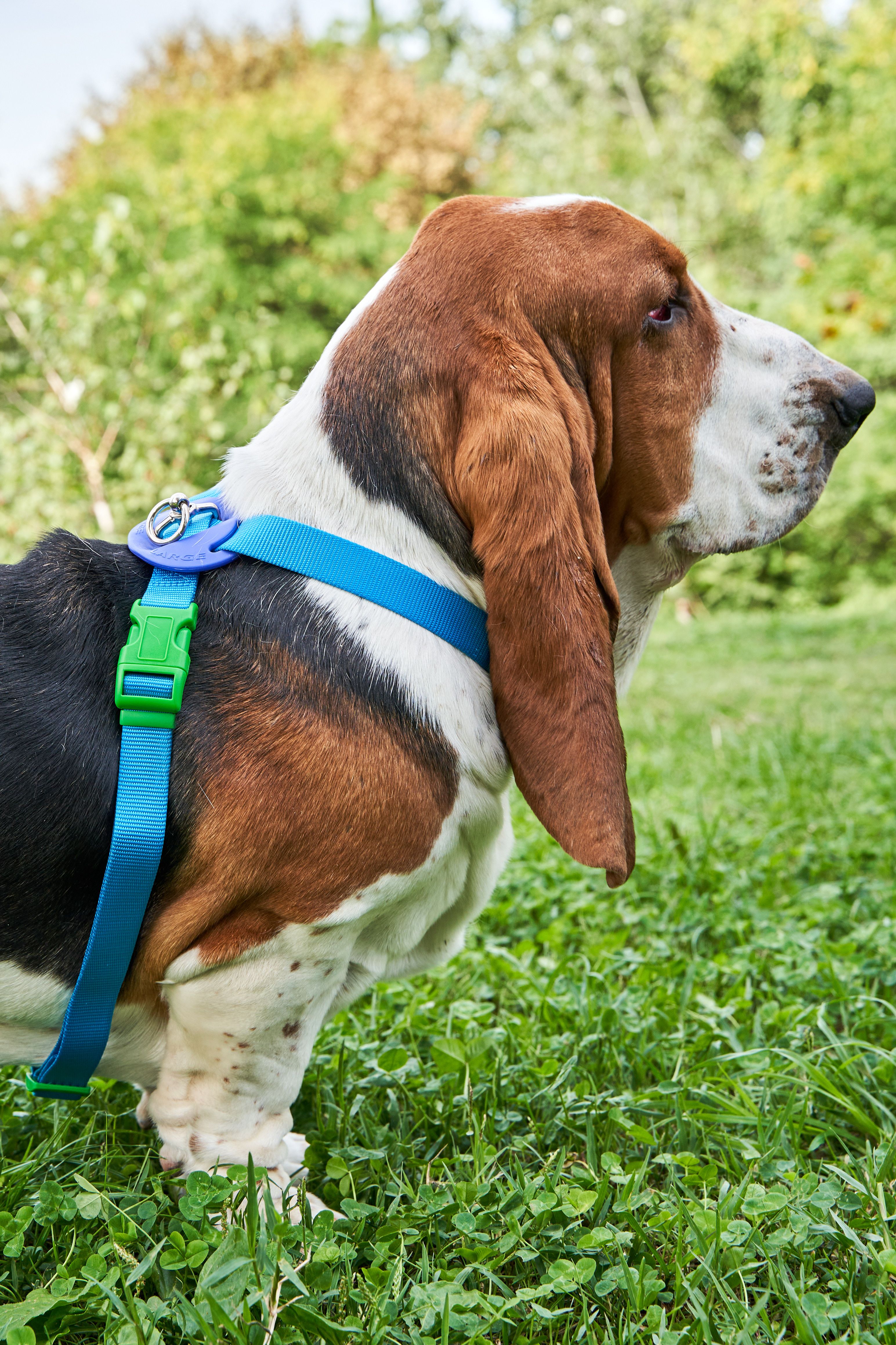 Produkt DAH0679976 Bild 6