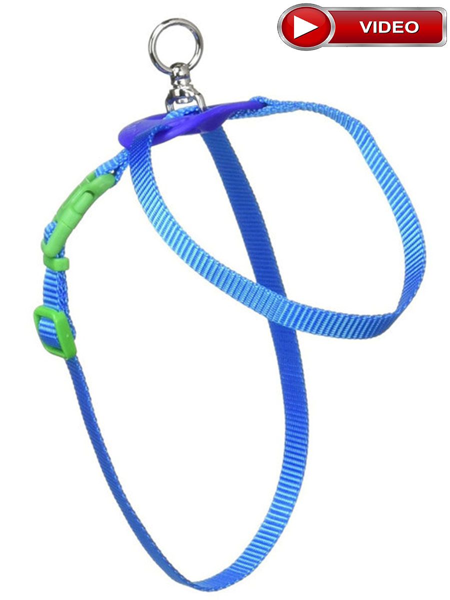 Produkt DAH0679976 Bild 7