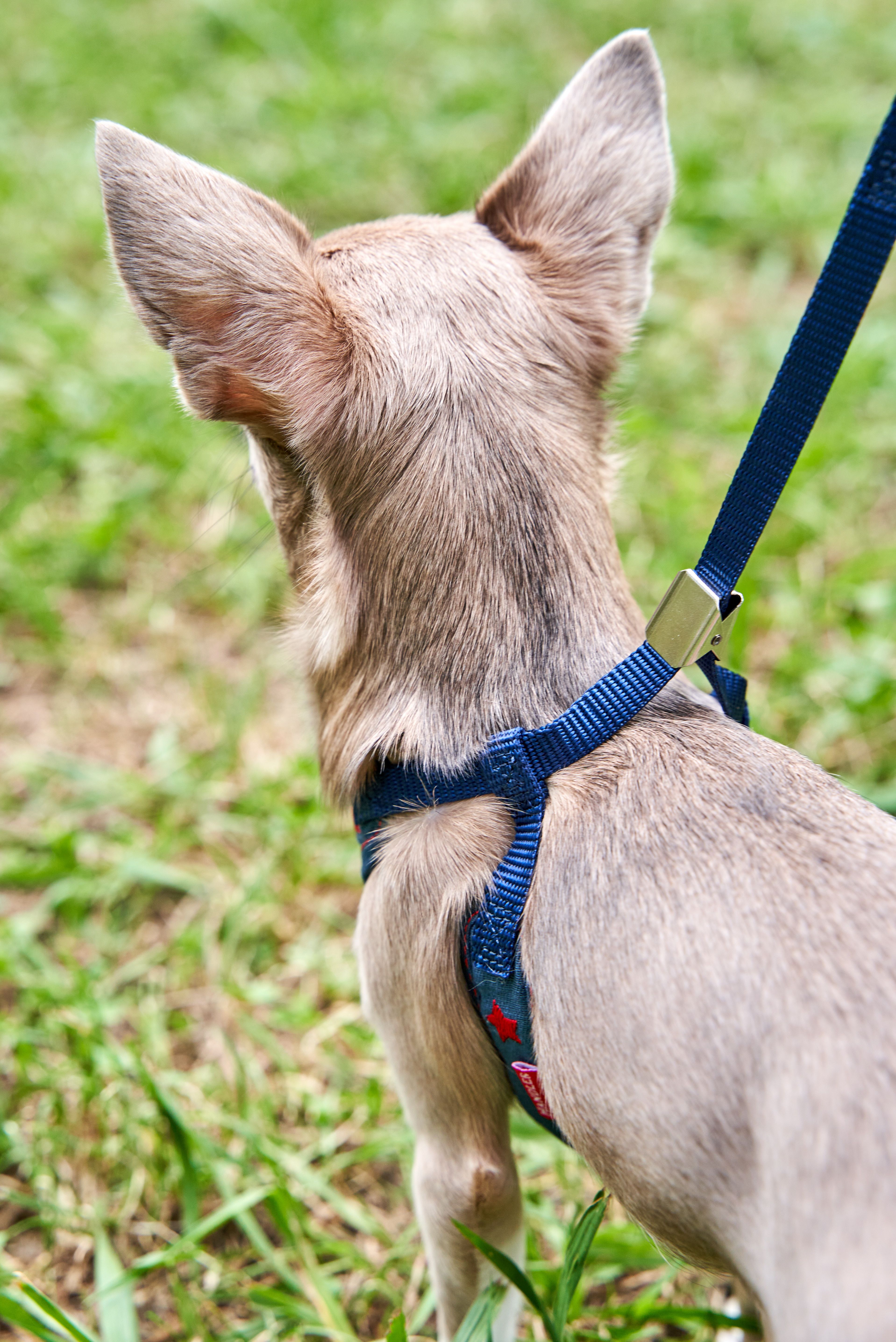 Product DAH0684390 photo 4