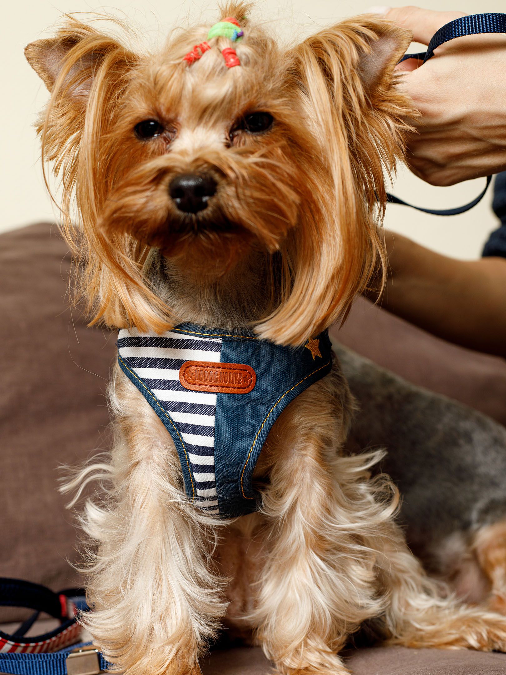 Produkt DAH0684406 Bild 13