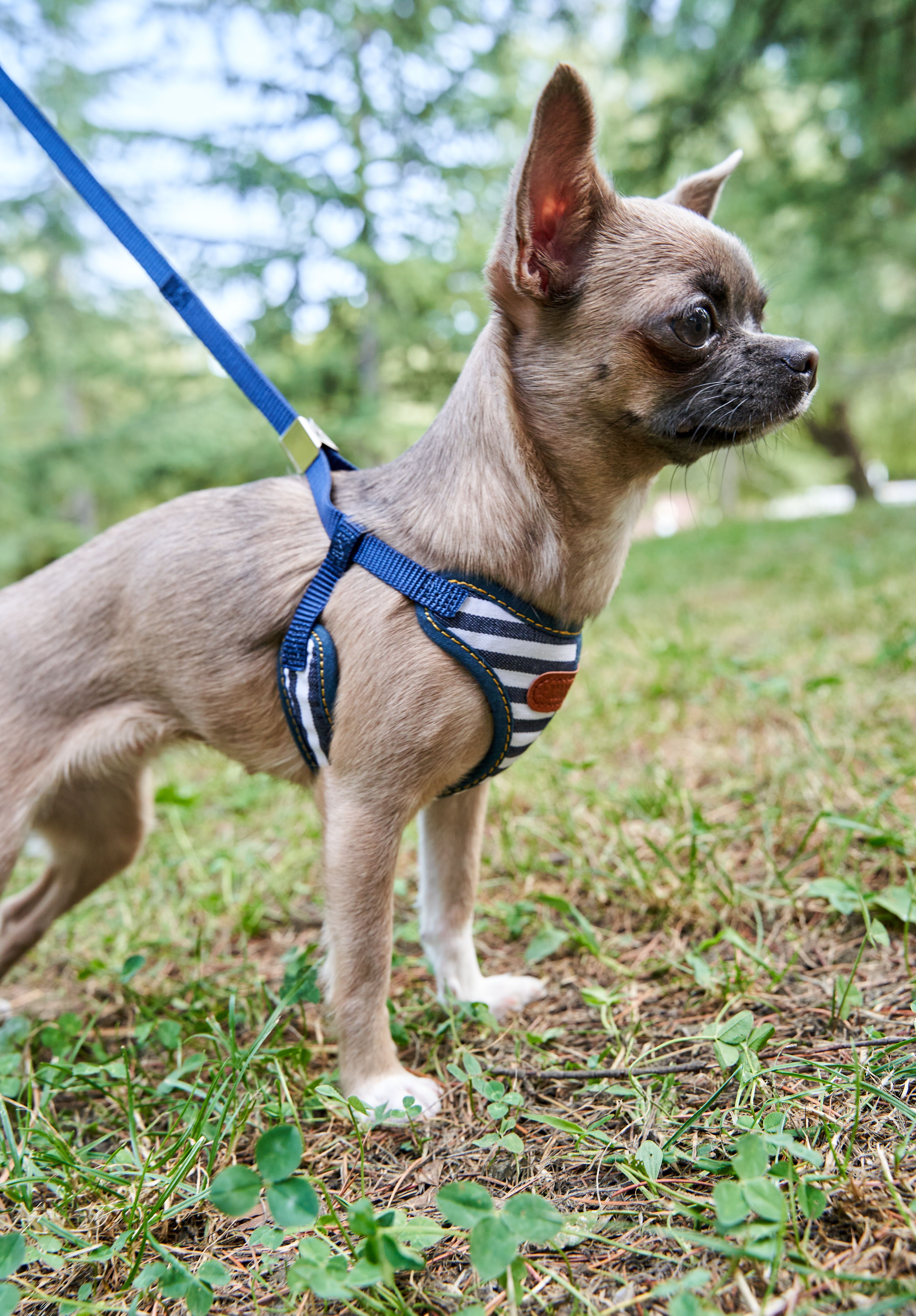 Produkt DAH0684406 Bild 4