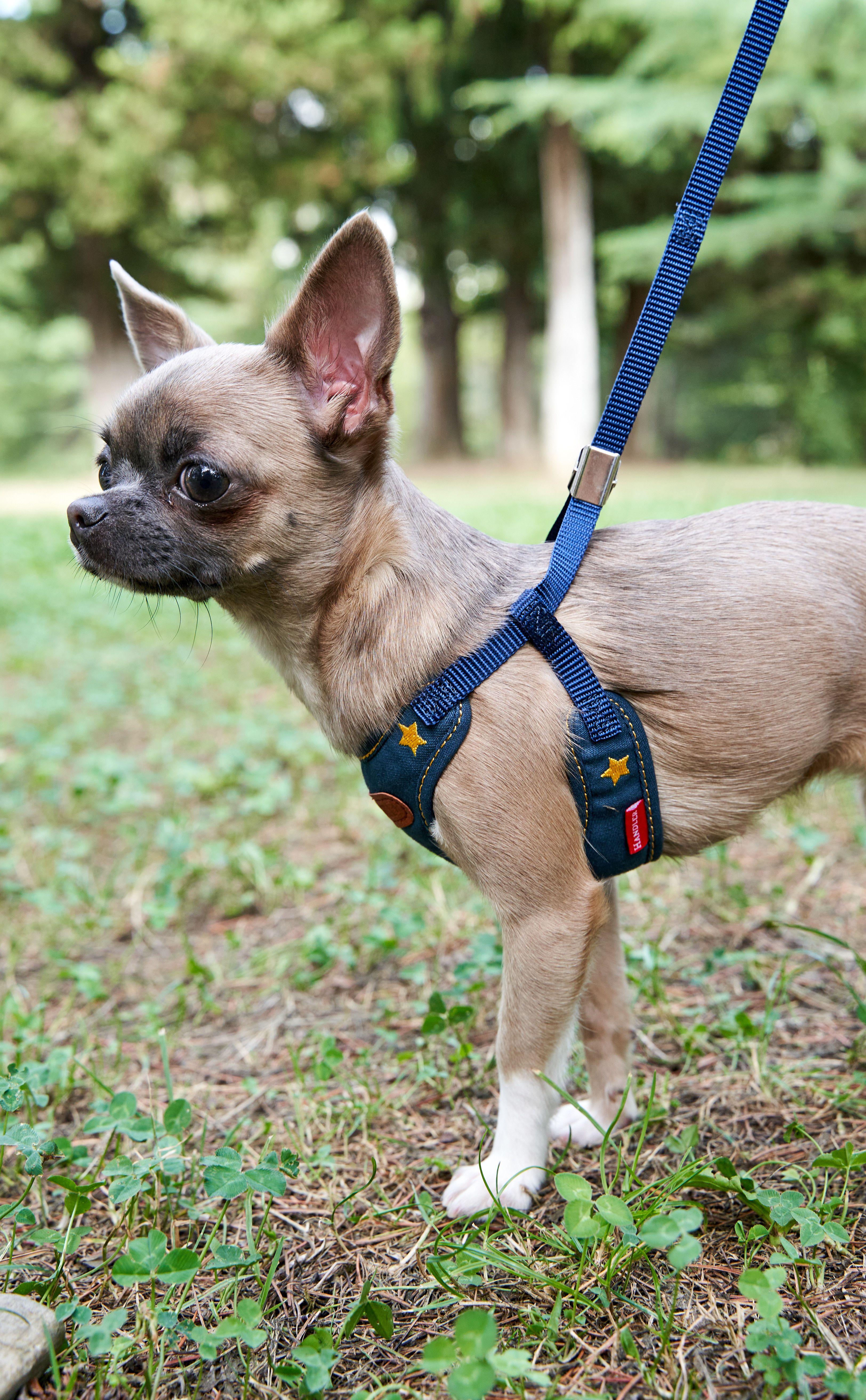 Produkt DAH0684406 Bild 5