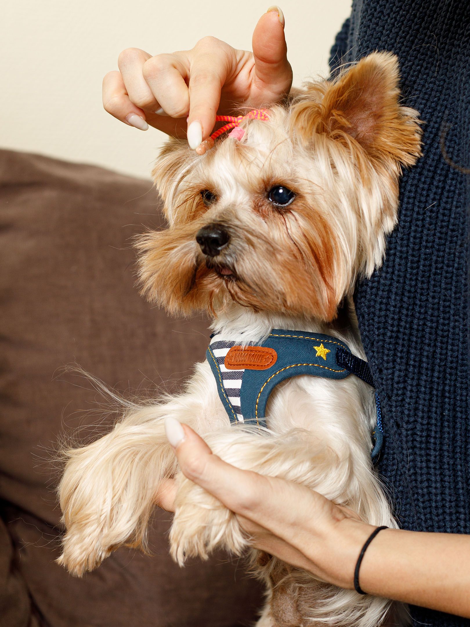 Produkt DAH0684406 Bild 9