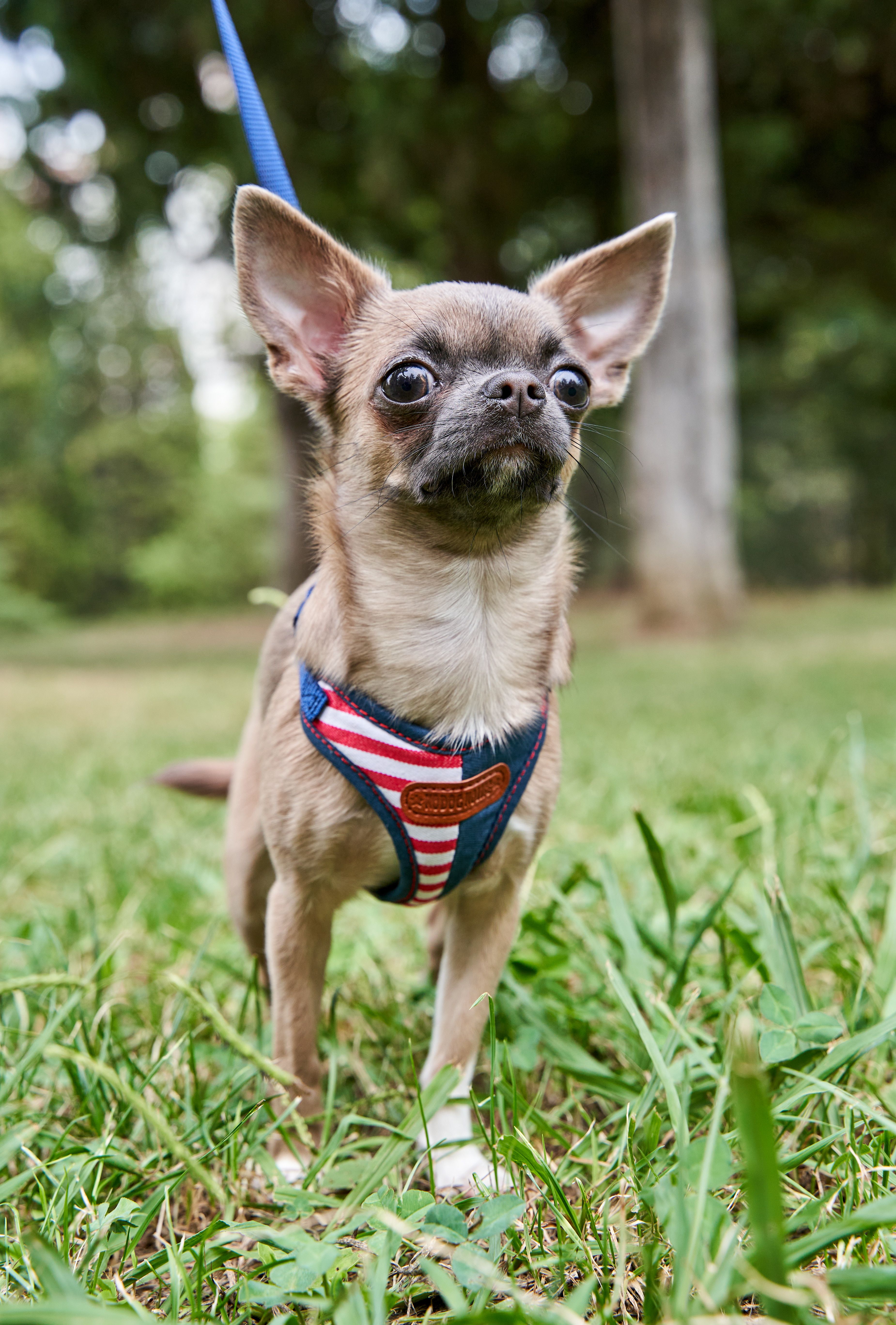 Produkt DAH0684413 Bild 2