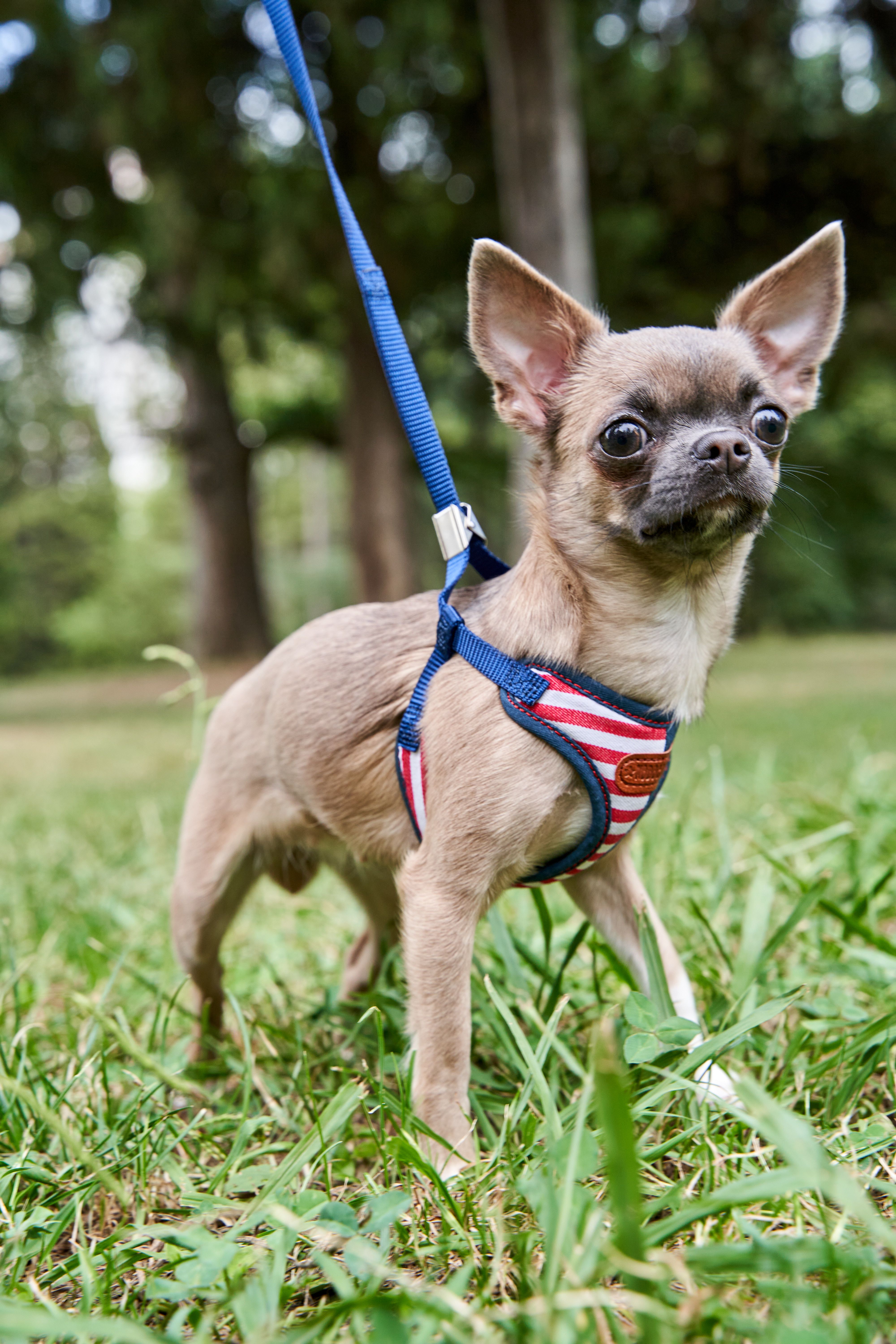 Produkt DAH0684413 Bild 3